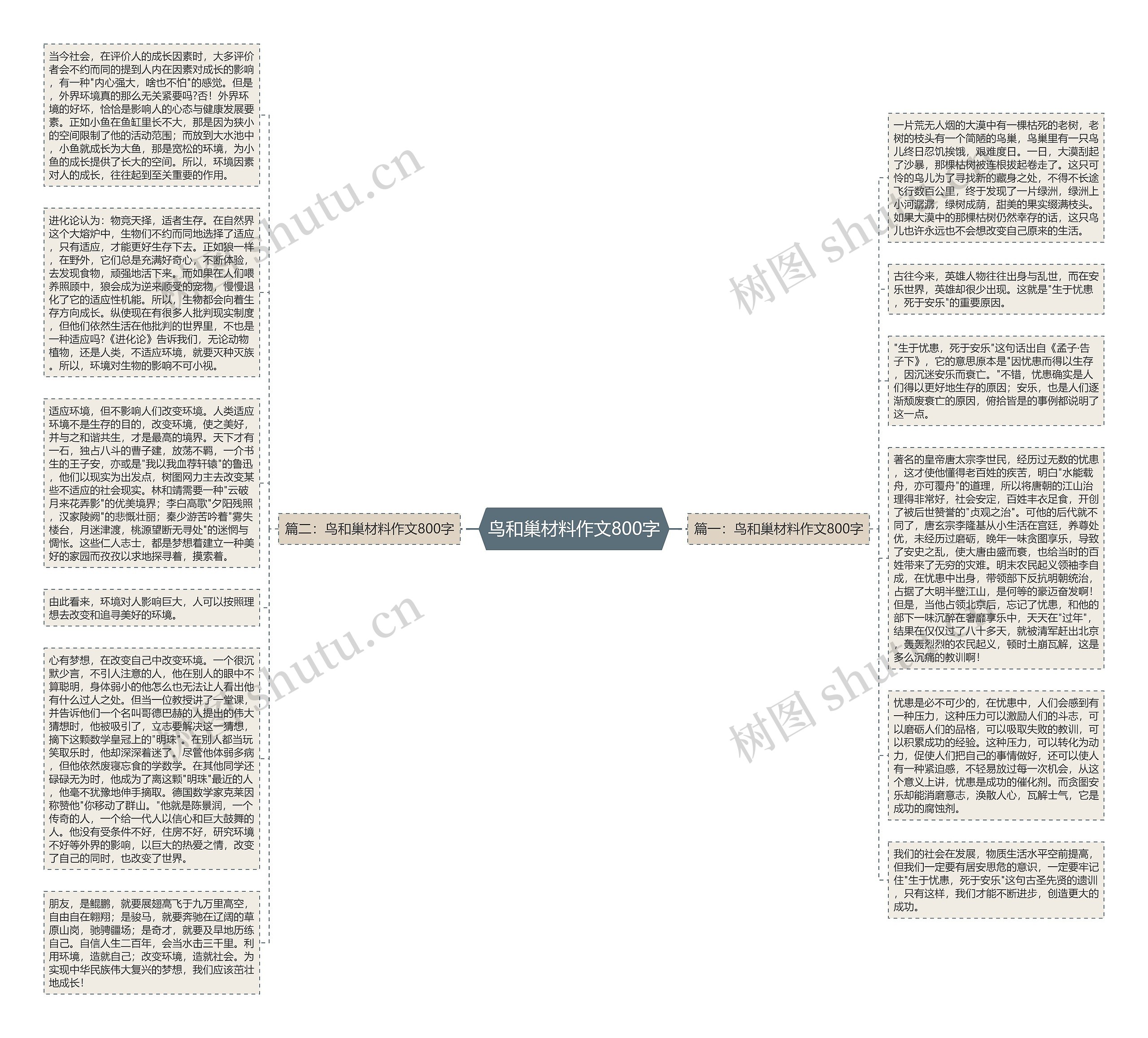 鸟和巢材料作文800字思维导图