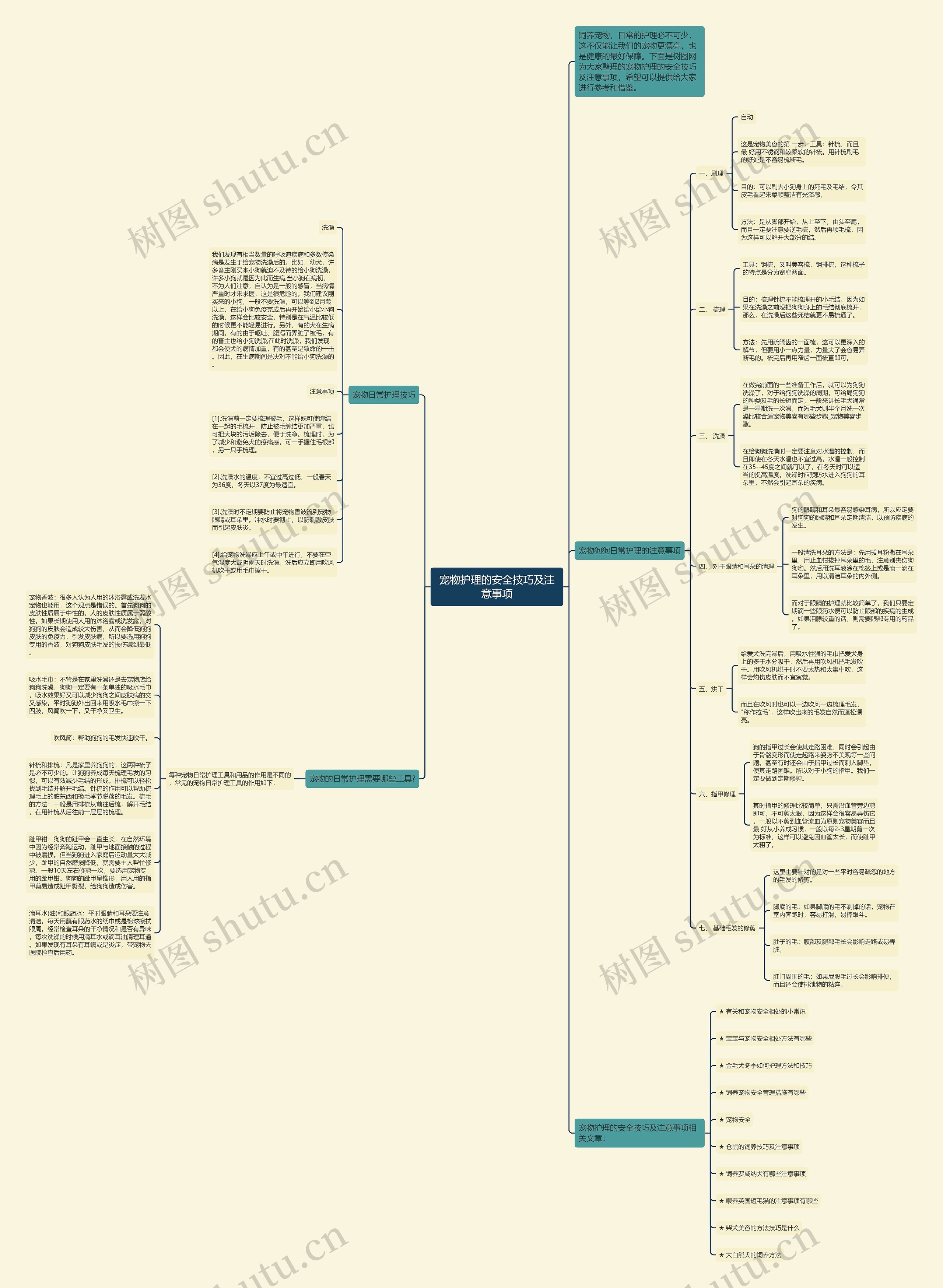 宠物护理的安全技巧及注意事项思维导图