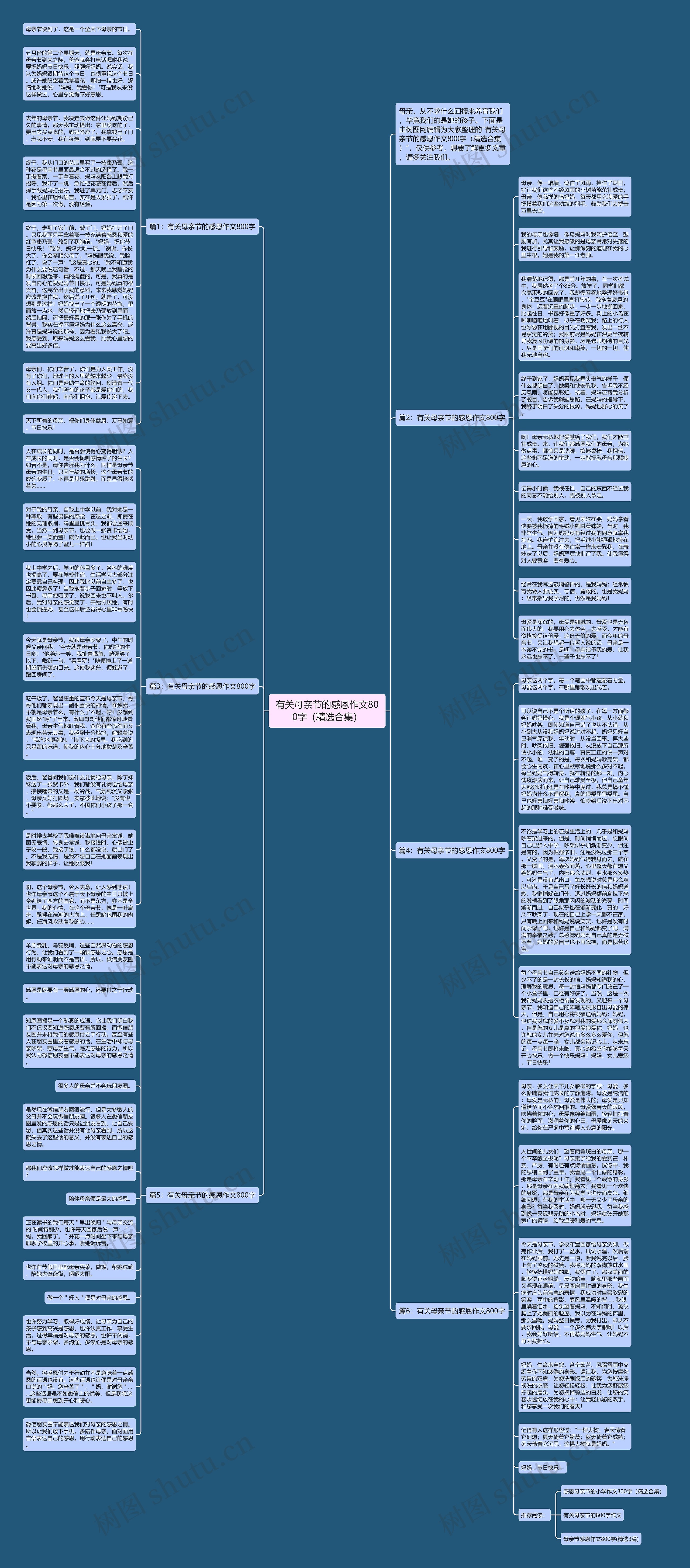 有关母亲节的感恩作文800字（精选合集）思维导图