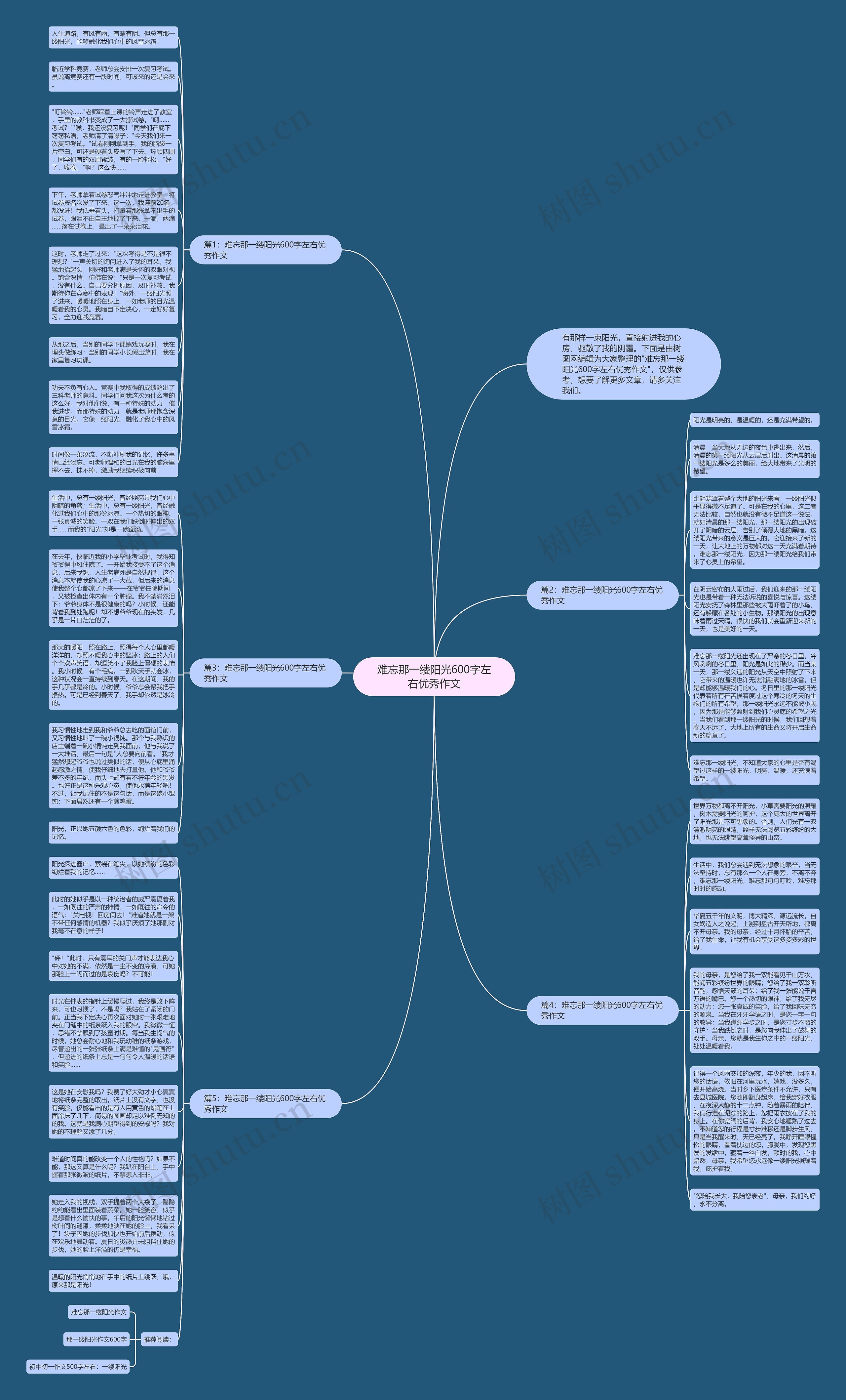 难忘那一缕阳光600字左右优秀作文思维导图