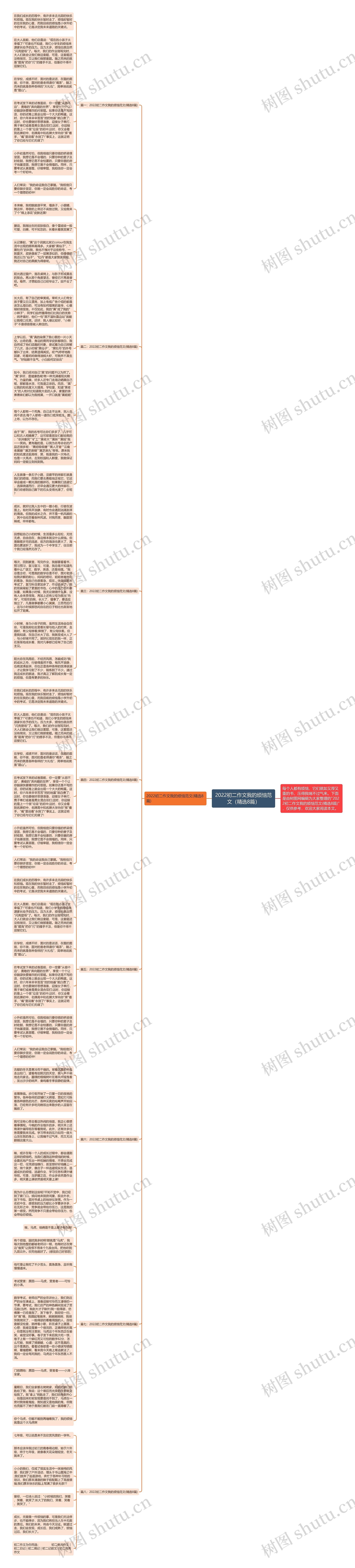 2022初二作文我的烦恼范文（精选8篇）思维导图