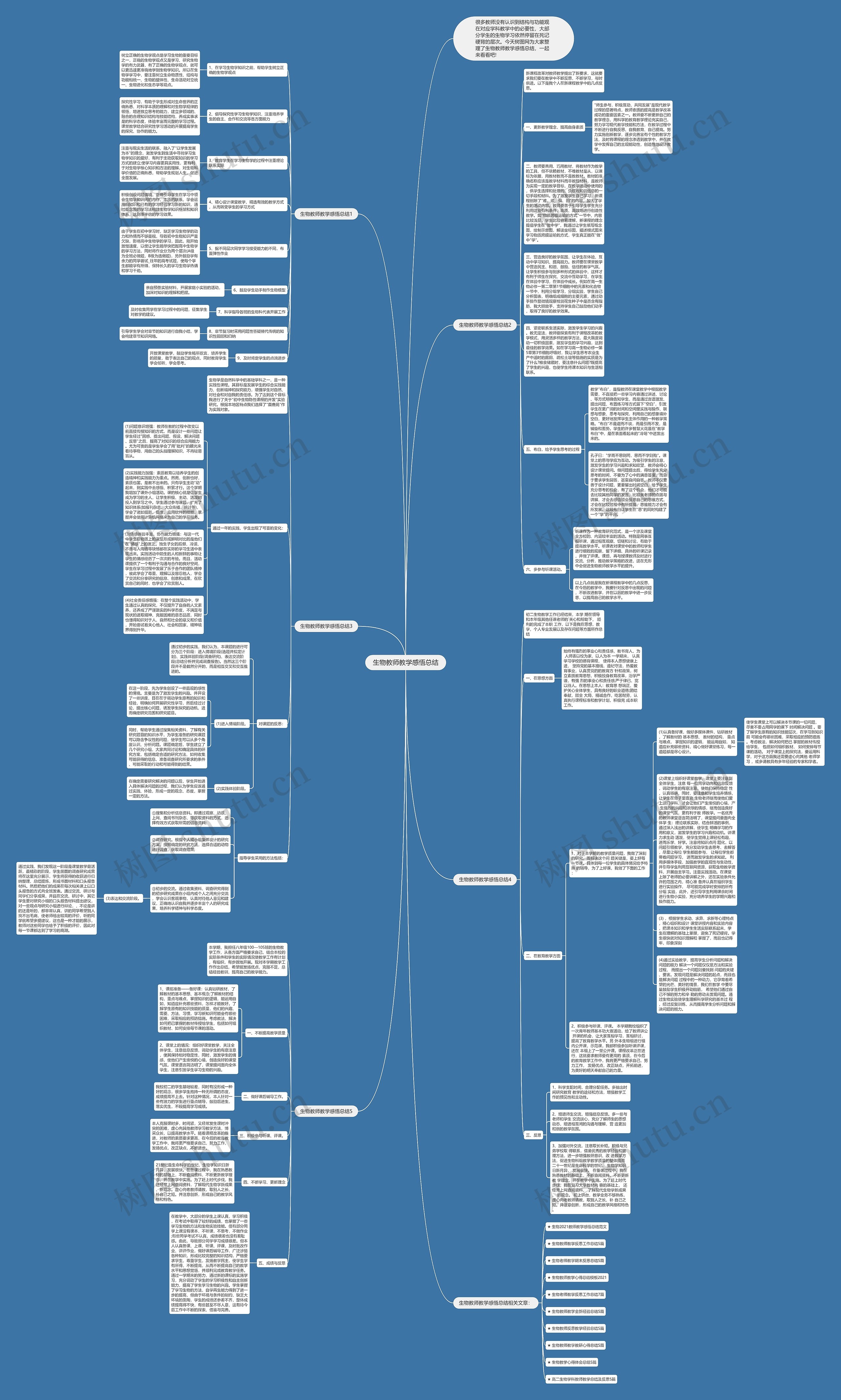 生物教师教学感悟总结思维导图