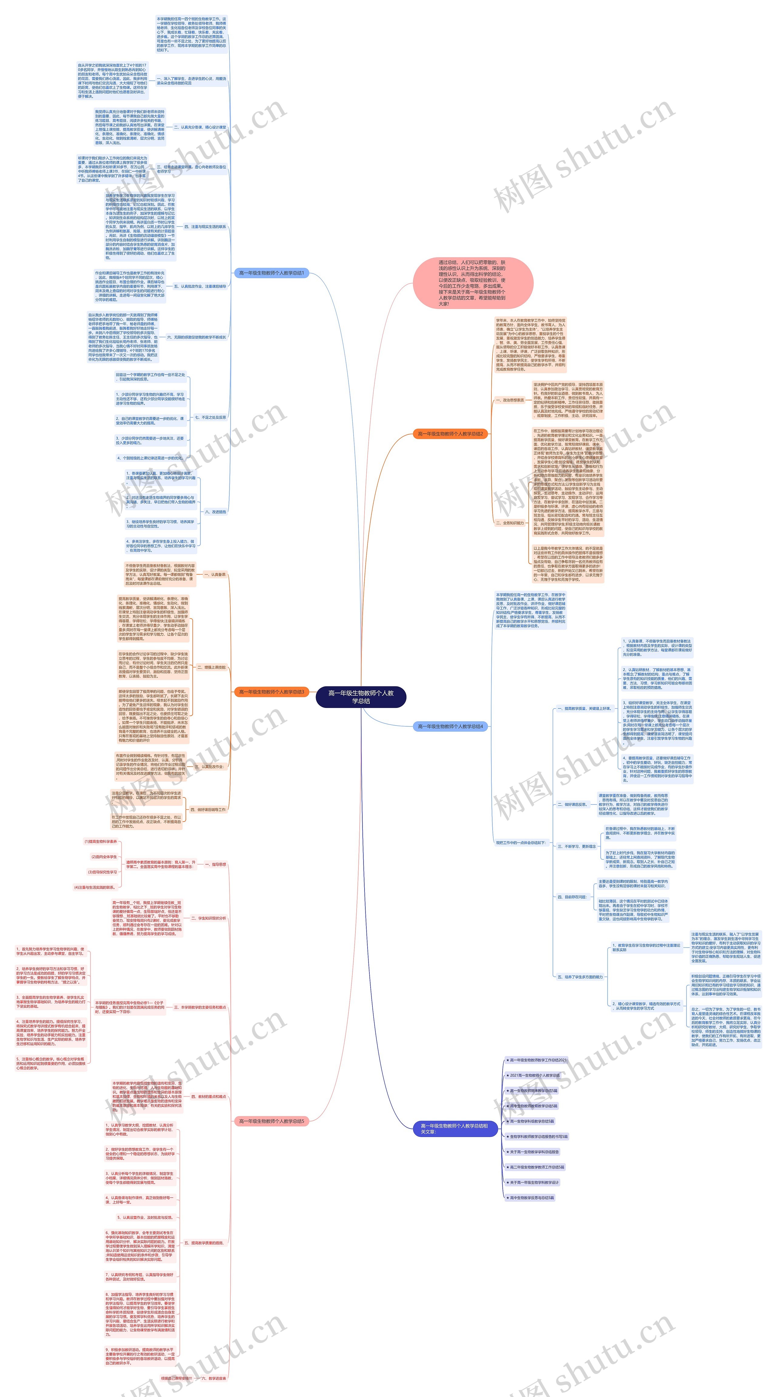 高一年级生物教师个人教学总结思维导图