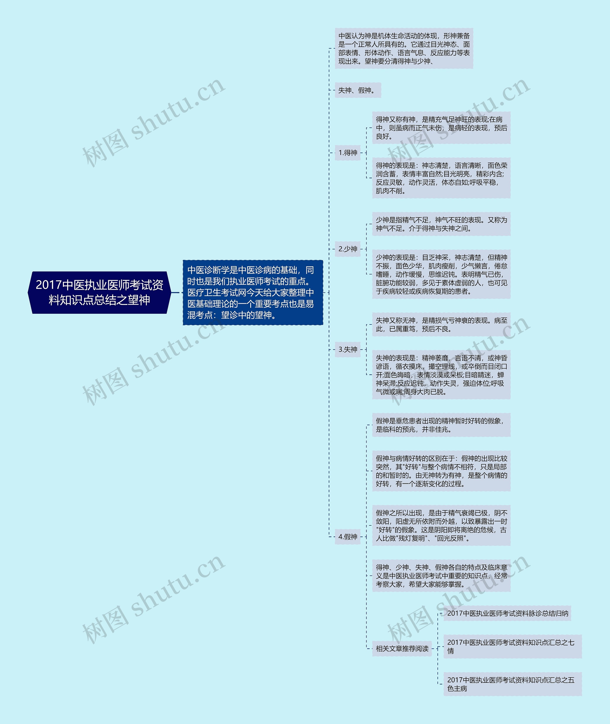 2017中医执业医师考试资料知识点总结之望神