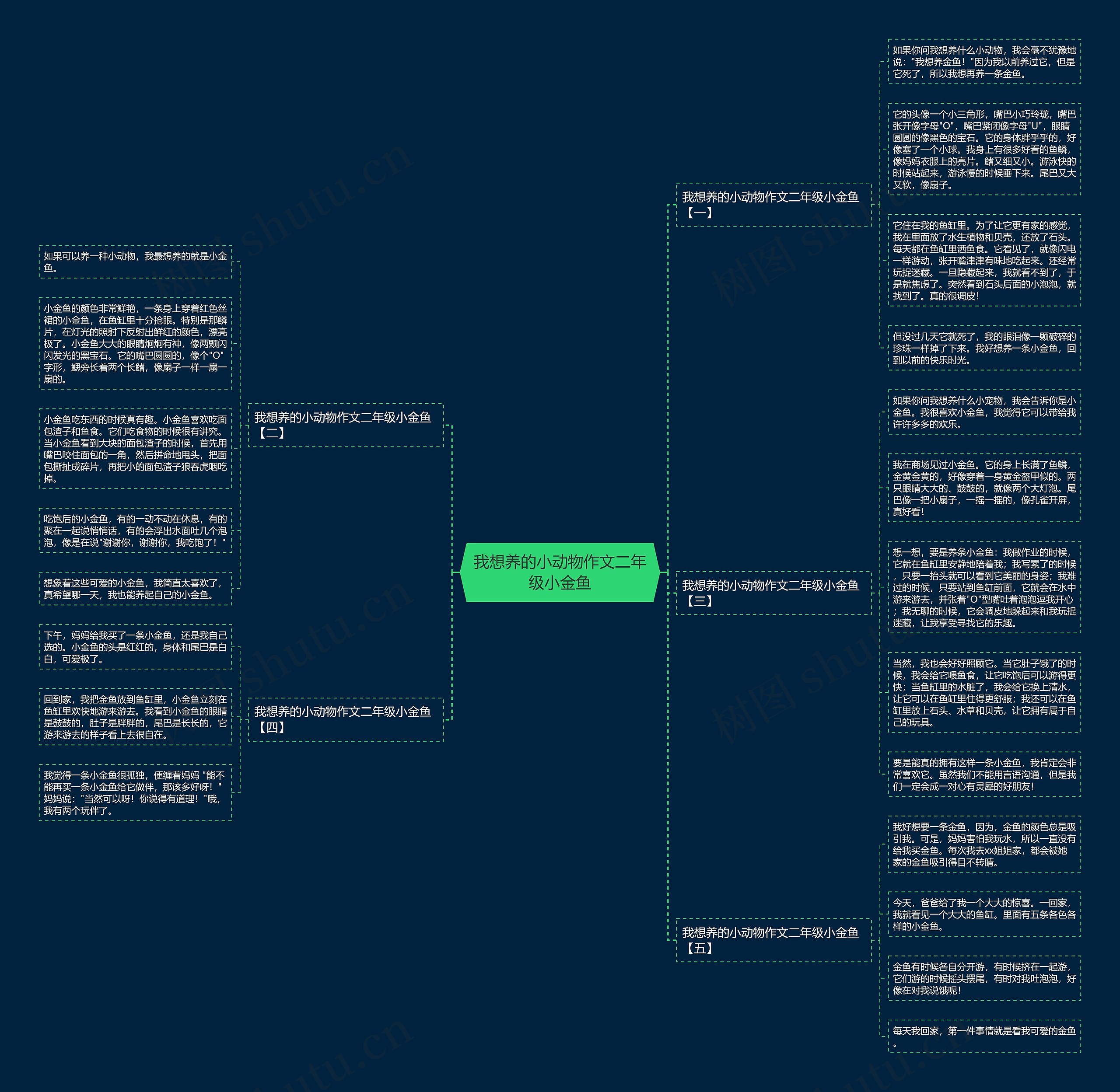 我想养的小动物作文二年级小金鱼思维导图