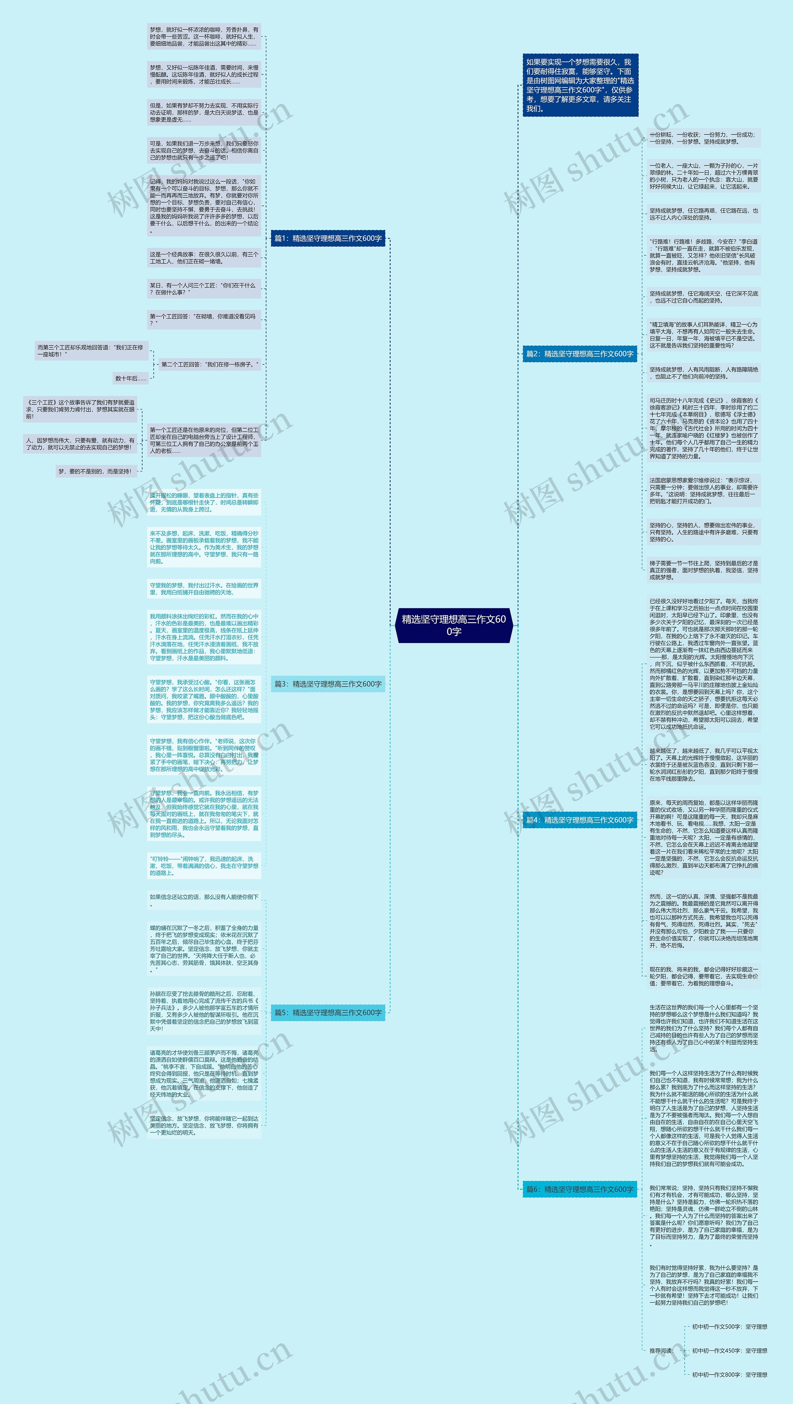 精选坚守理想高三作文600字思维导图