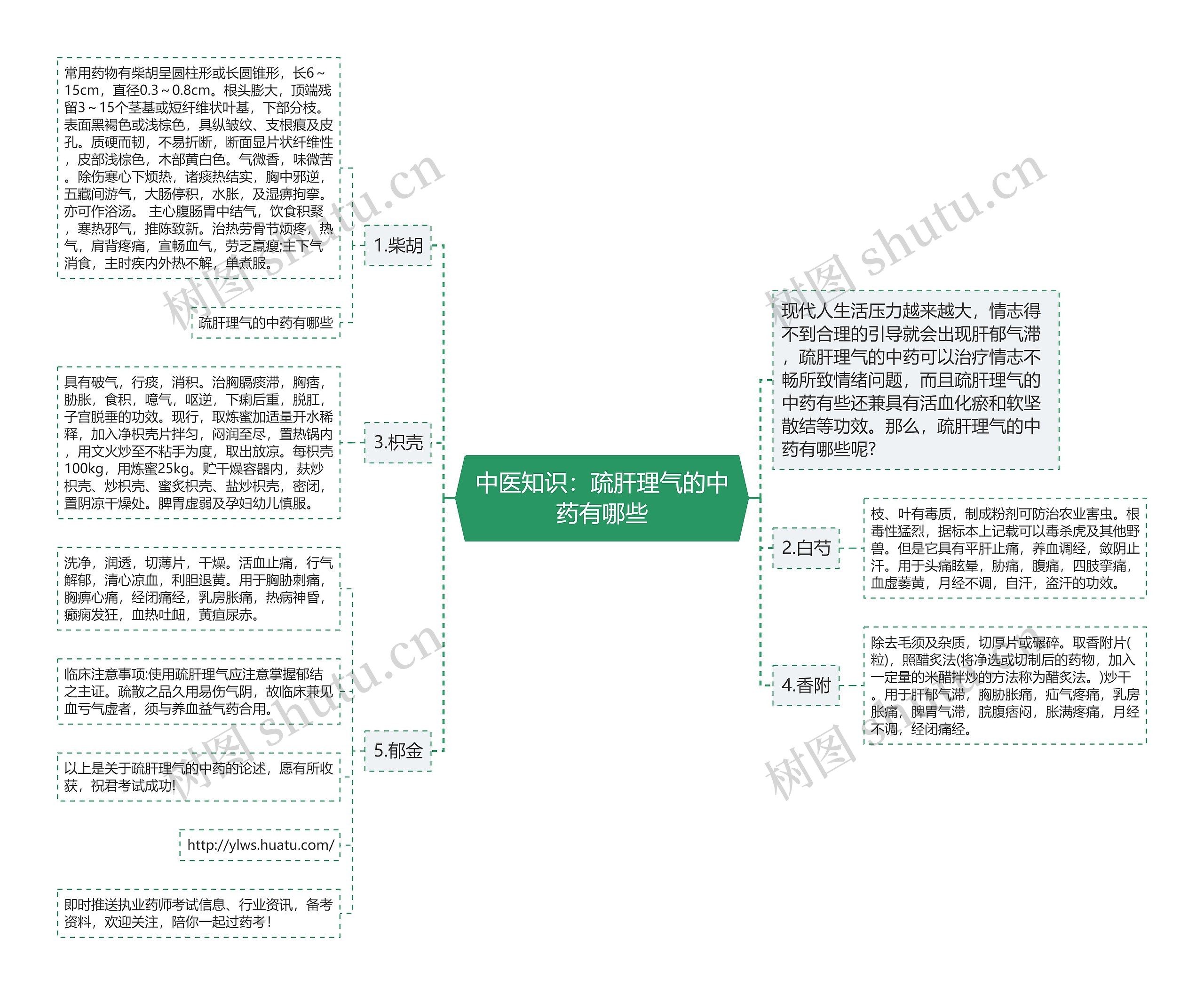 中医知识：疏肝理气的中药有哪些思维导图