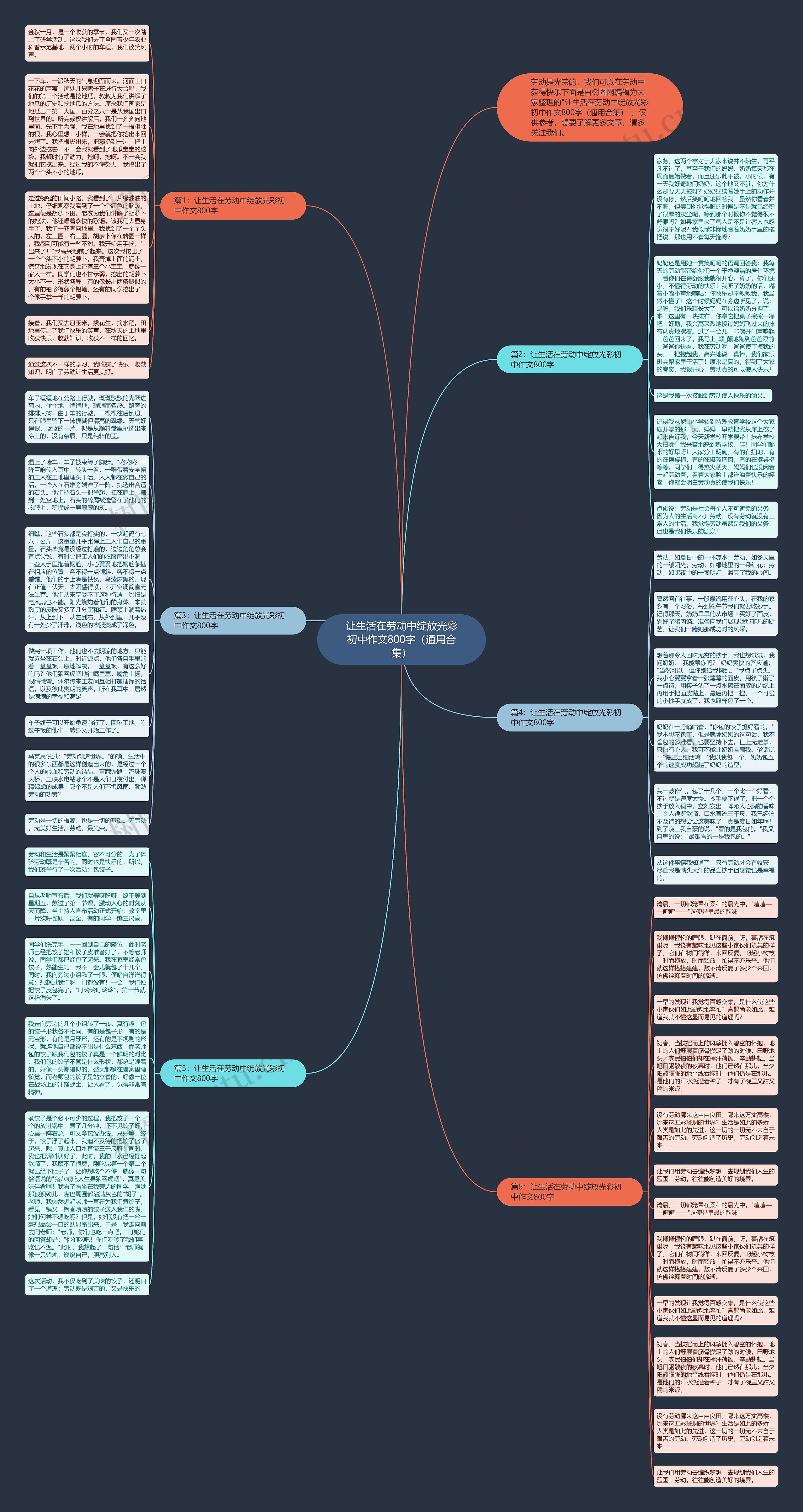 让生活在劳动中绽放光彩初中作文800字（通用合集）思维导图