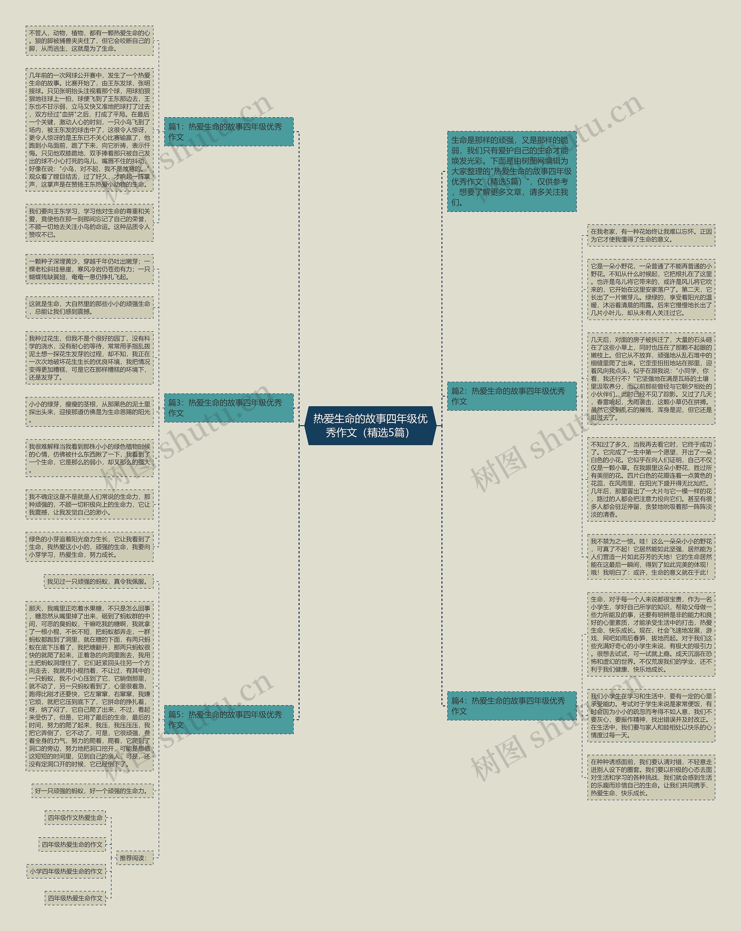 热爱生命的故事四年级优秀作文（精选5篇）思维导图