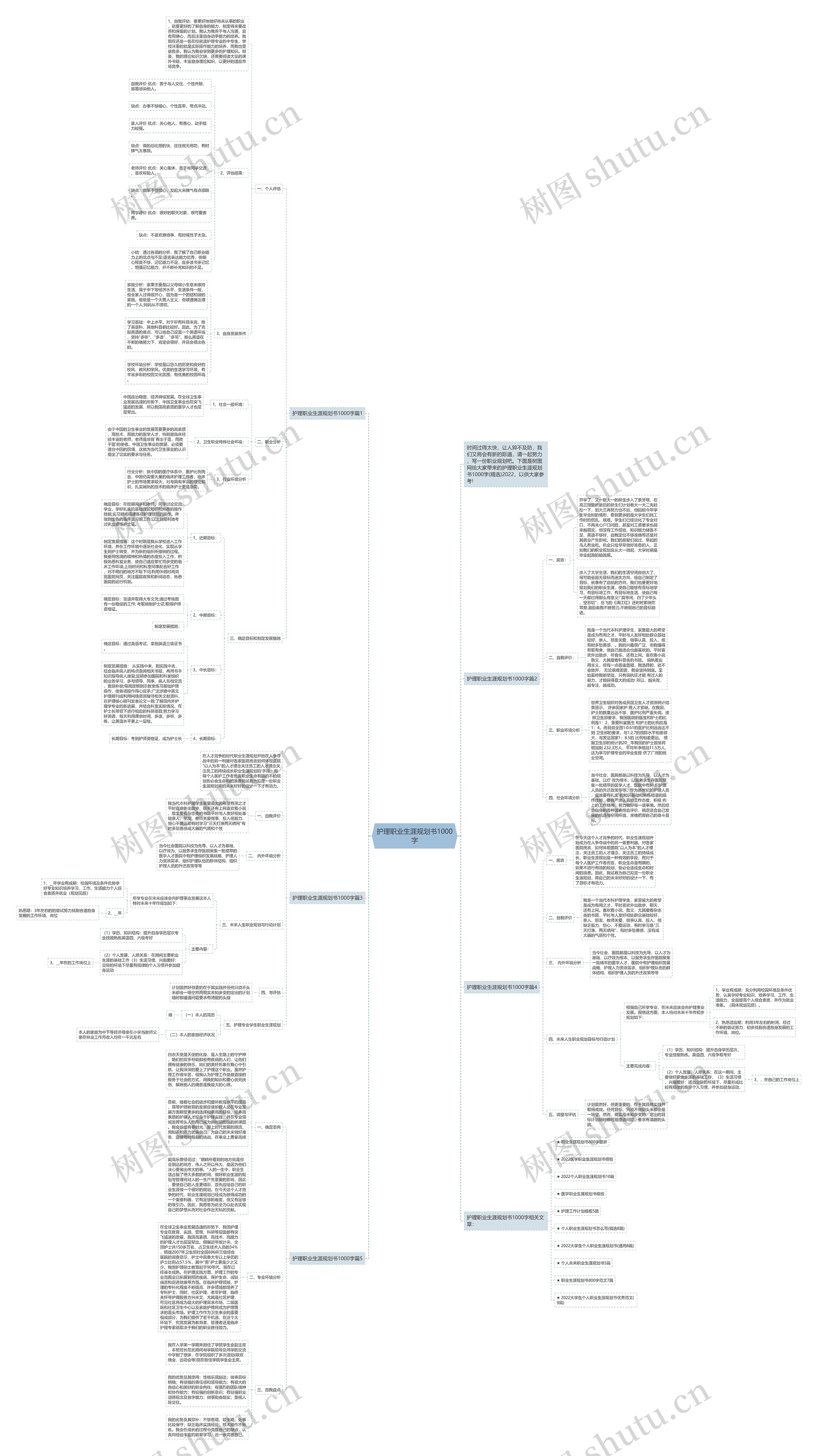 护理职业生涯规划书1000字思维导图