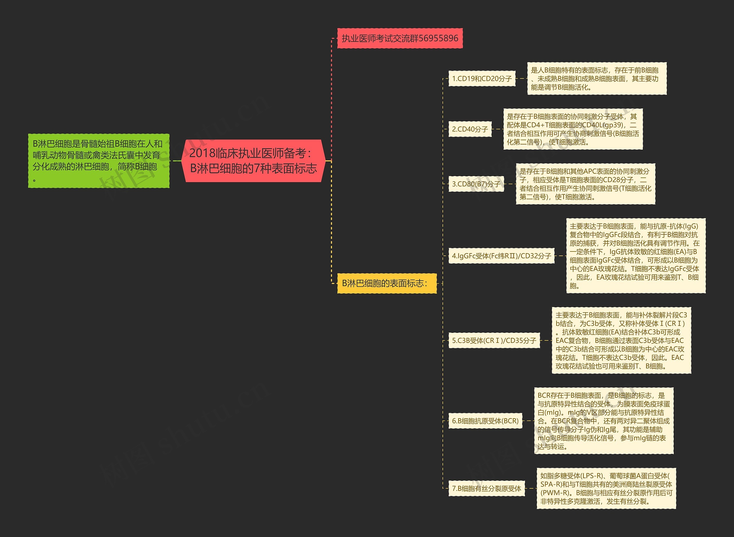 2018临床执业医师备考：B淋巴细胞的7种表面标志思维导图