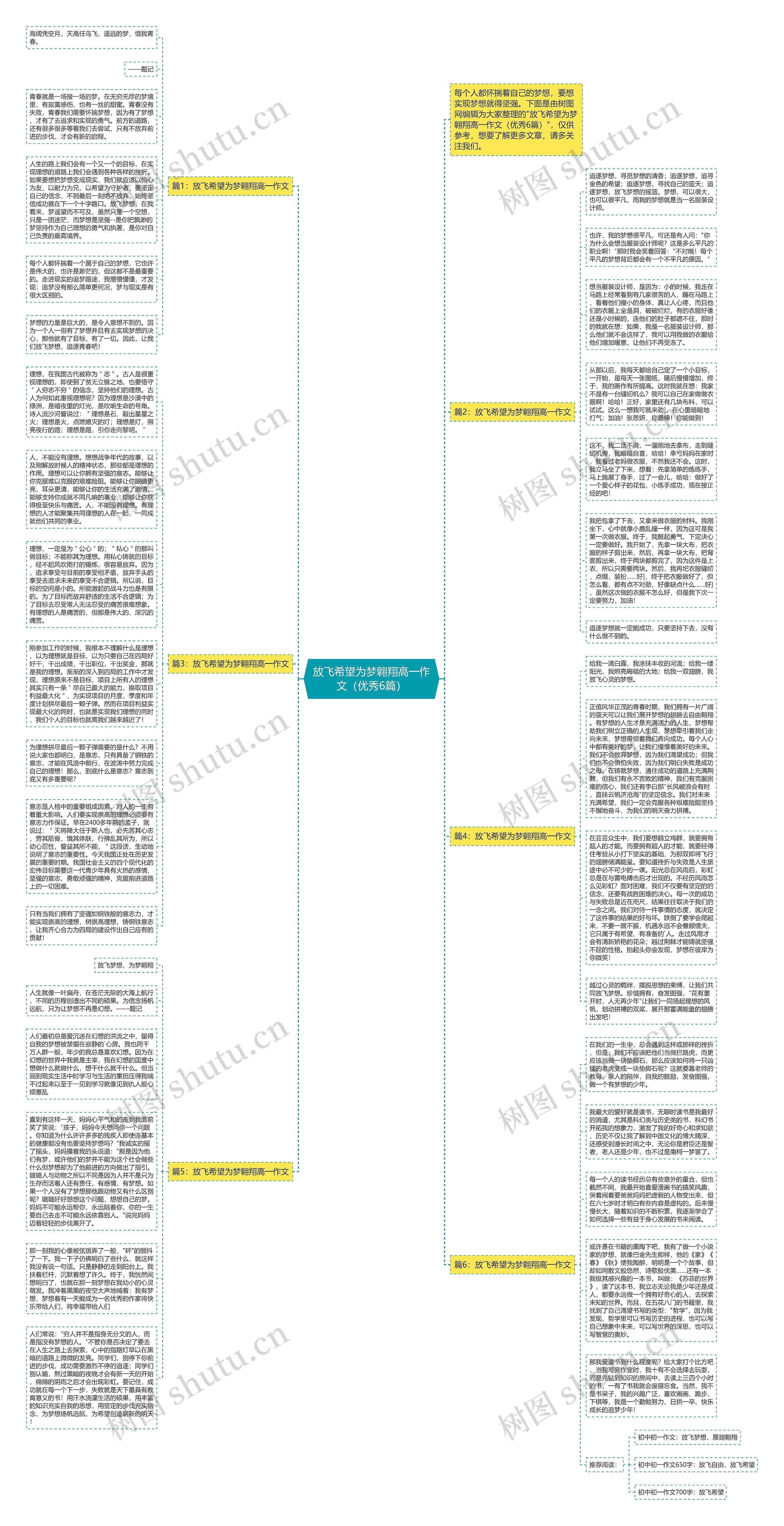 放飞希望为梦翱翔高一作文（优秀6篇）思维导图