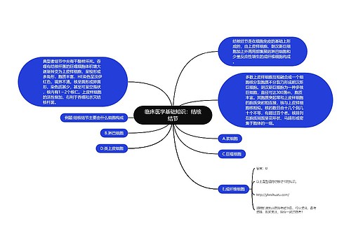 临床医学基础知识：结核结节