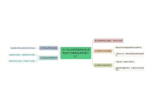 2017执业药师西药综合;药物治疗方案制定原则是什么？