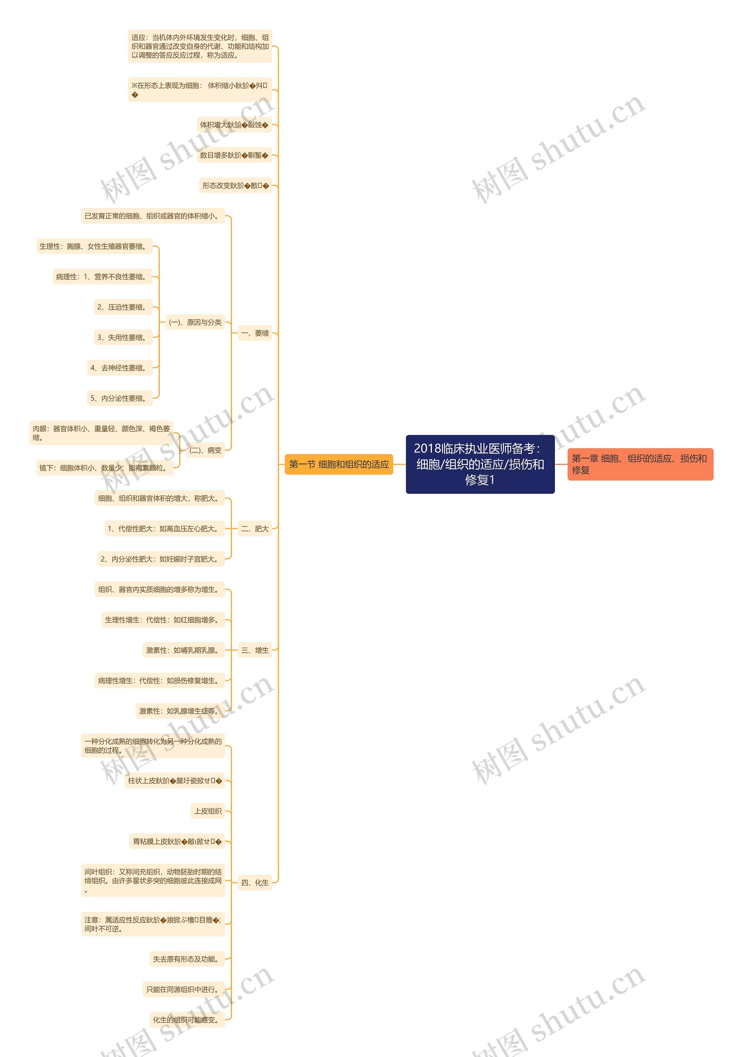 2018临床执业医师备考：细胞/组织的适应/损伤和修复1思维导图