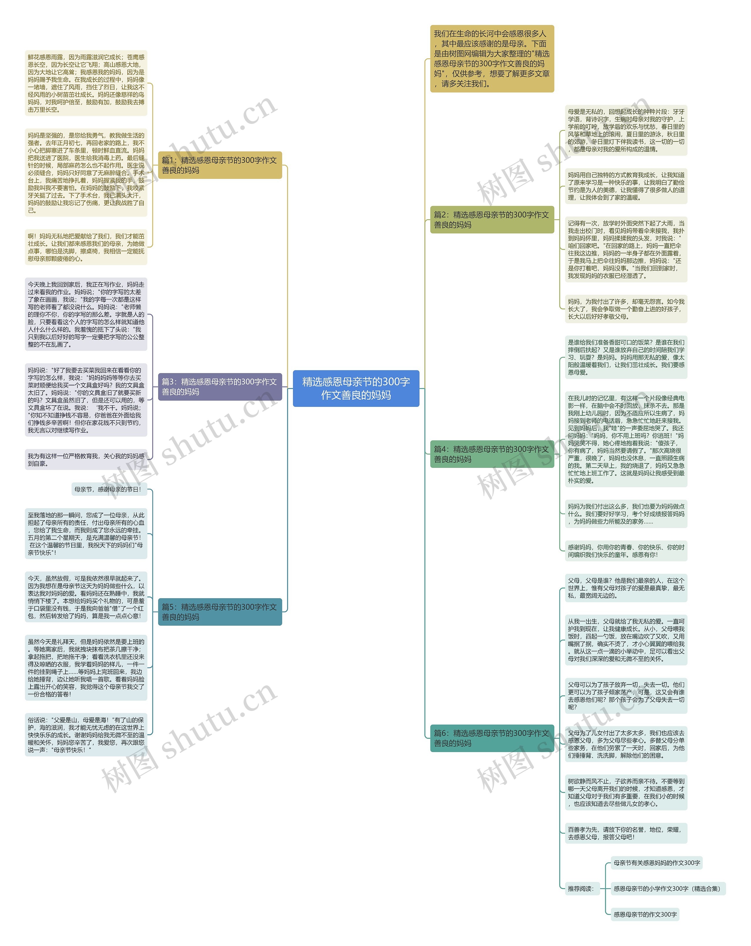 精选感恩母亲节的300字作文善良的妈妈