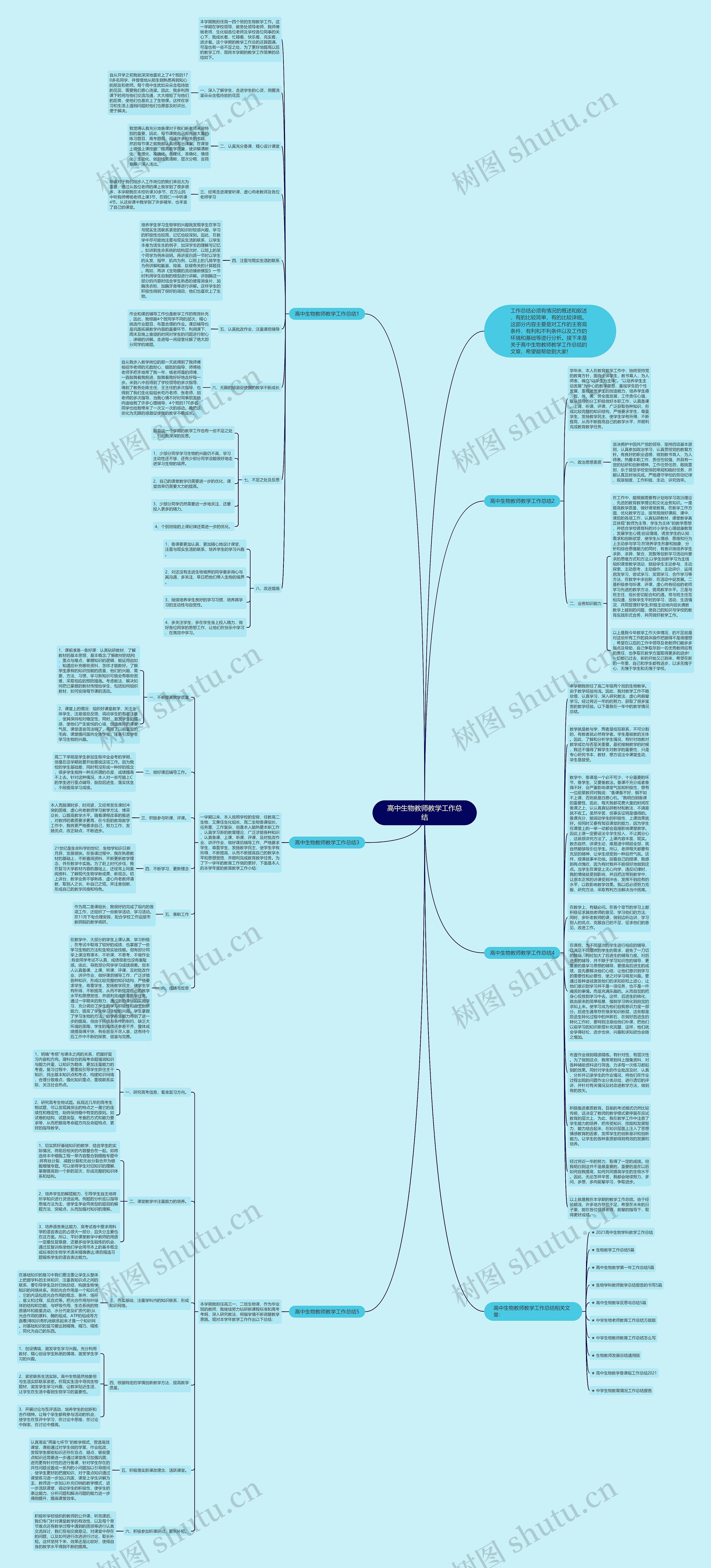 高中生物教师教学工作总结思维导图