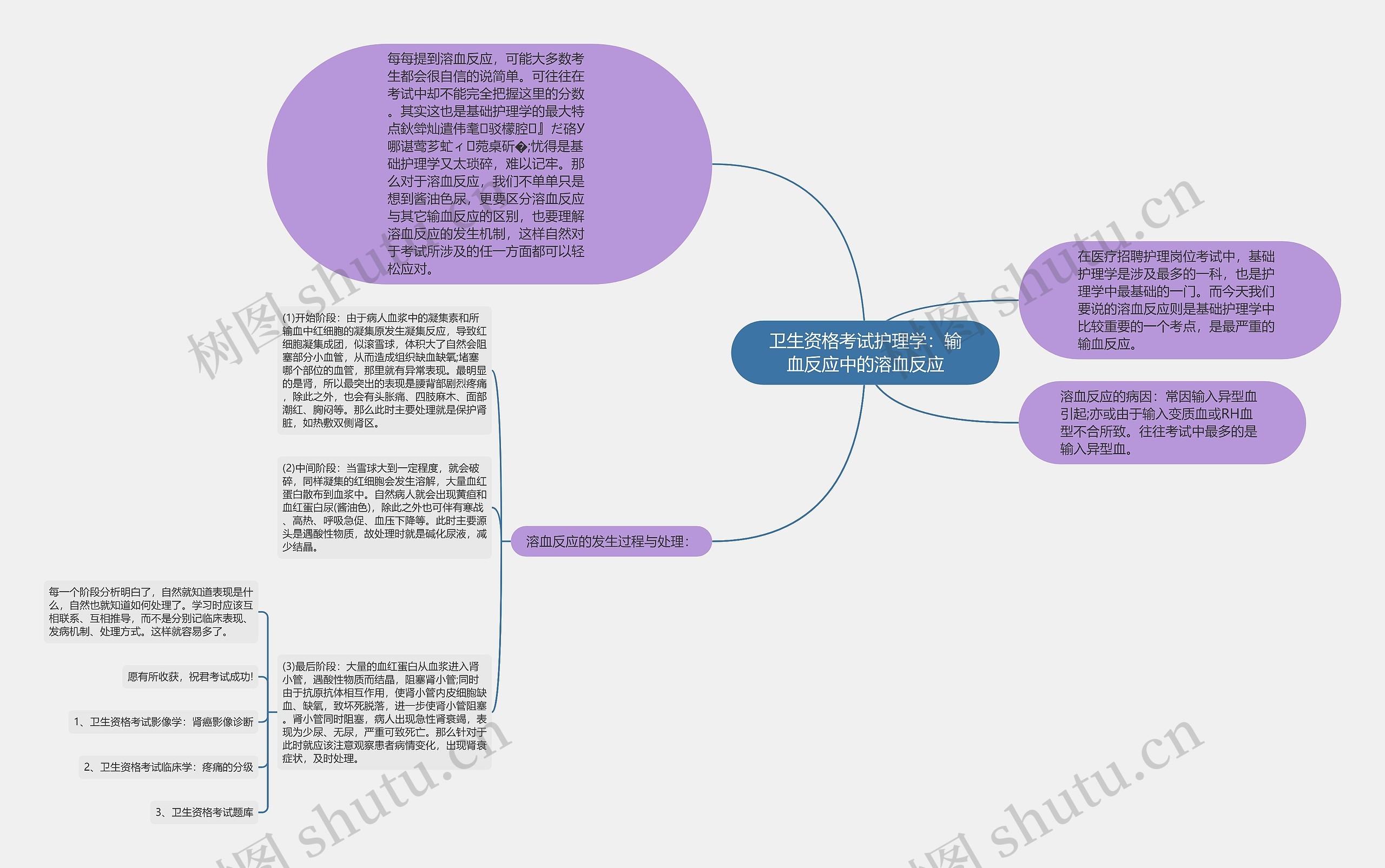 卫生资格考试护理学：输血反应中的溶血反应思维导图