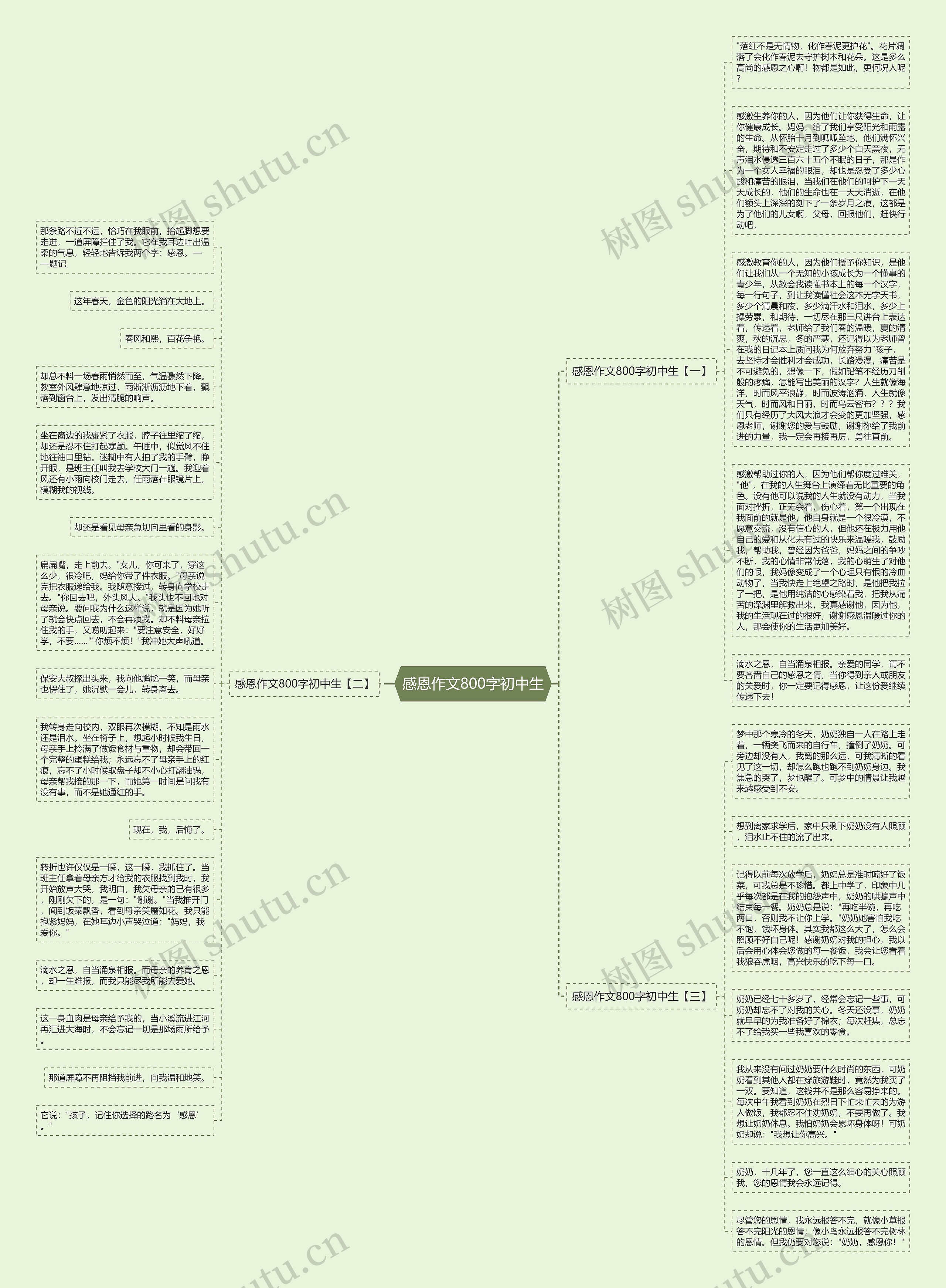 感恩作文800字初中生思维导图