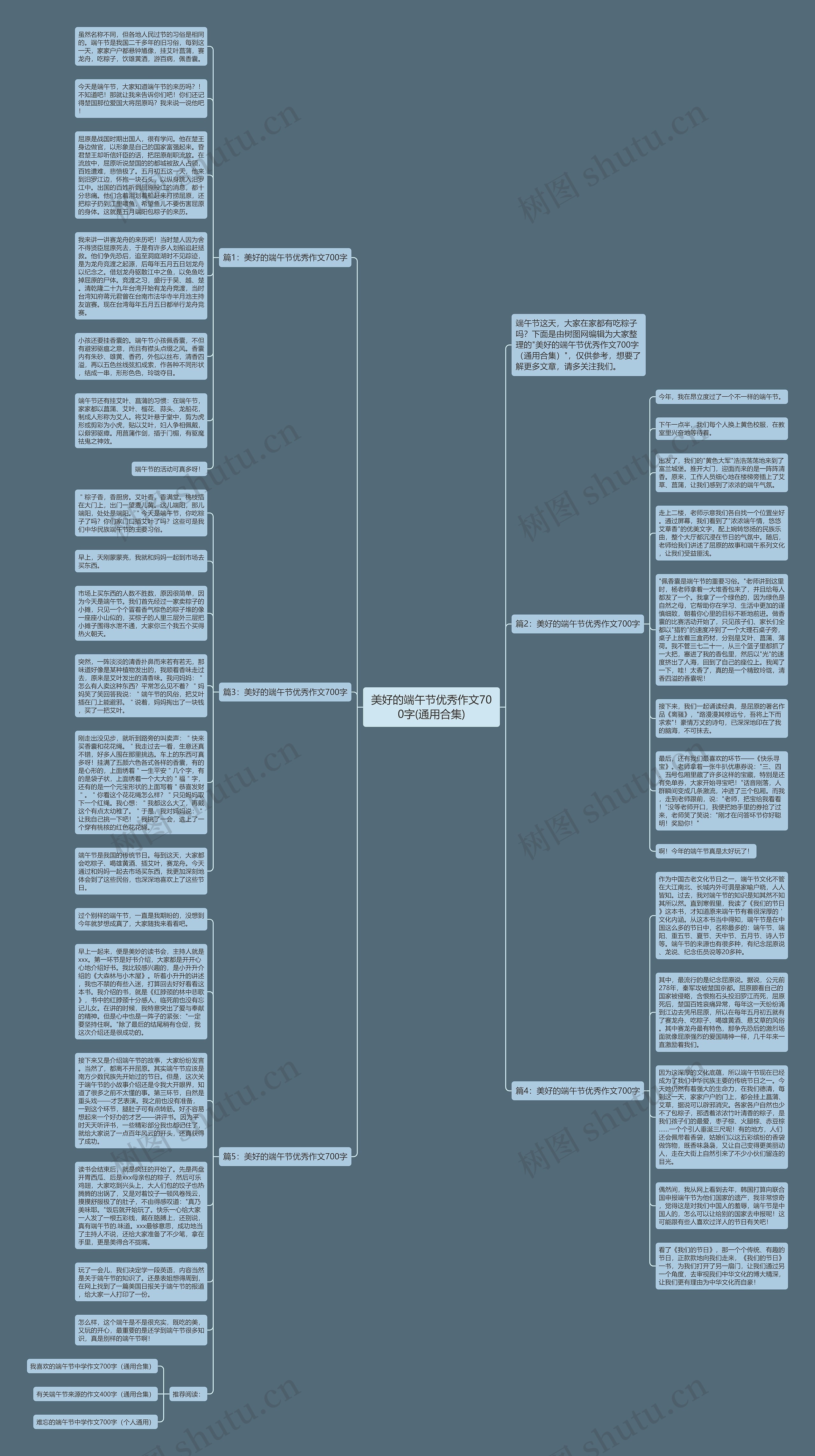 美好的端午节优秀作文700字(通用合集)思维导图