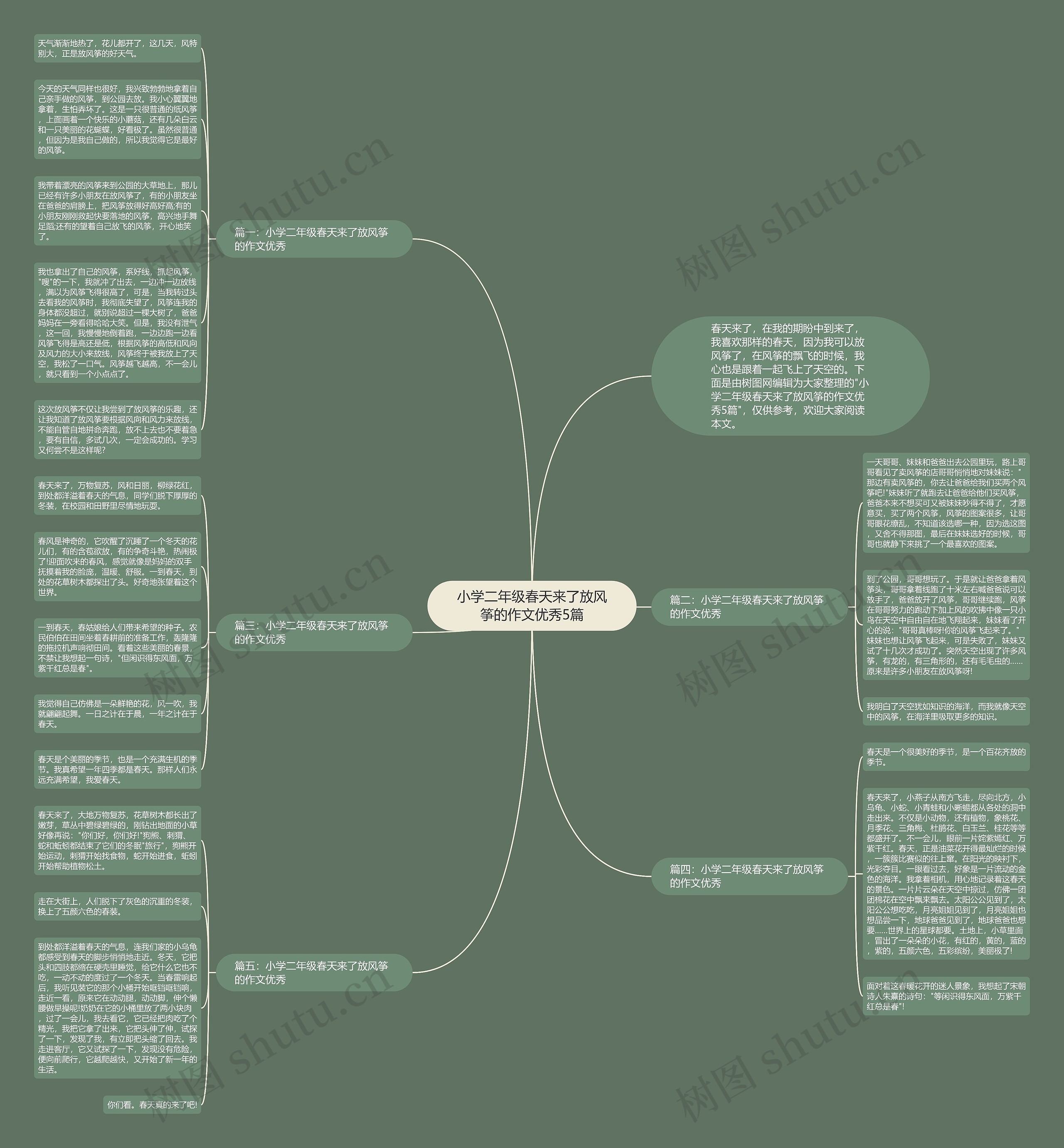 小学二年级春天来了放风筝的作文优秀5篇思维导图