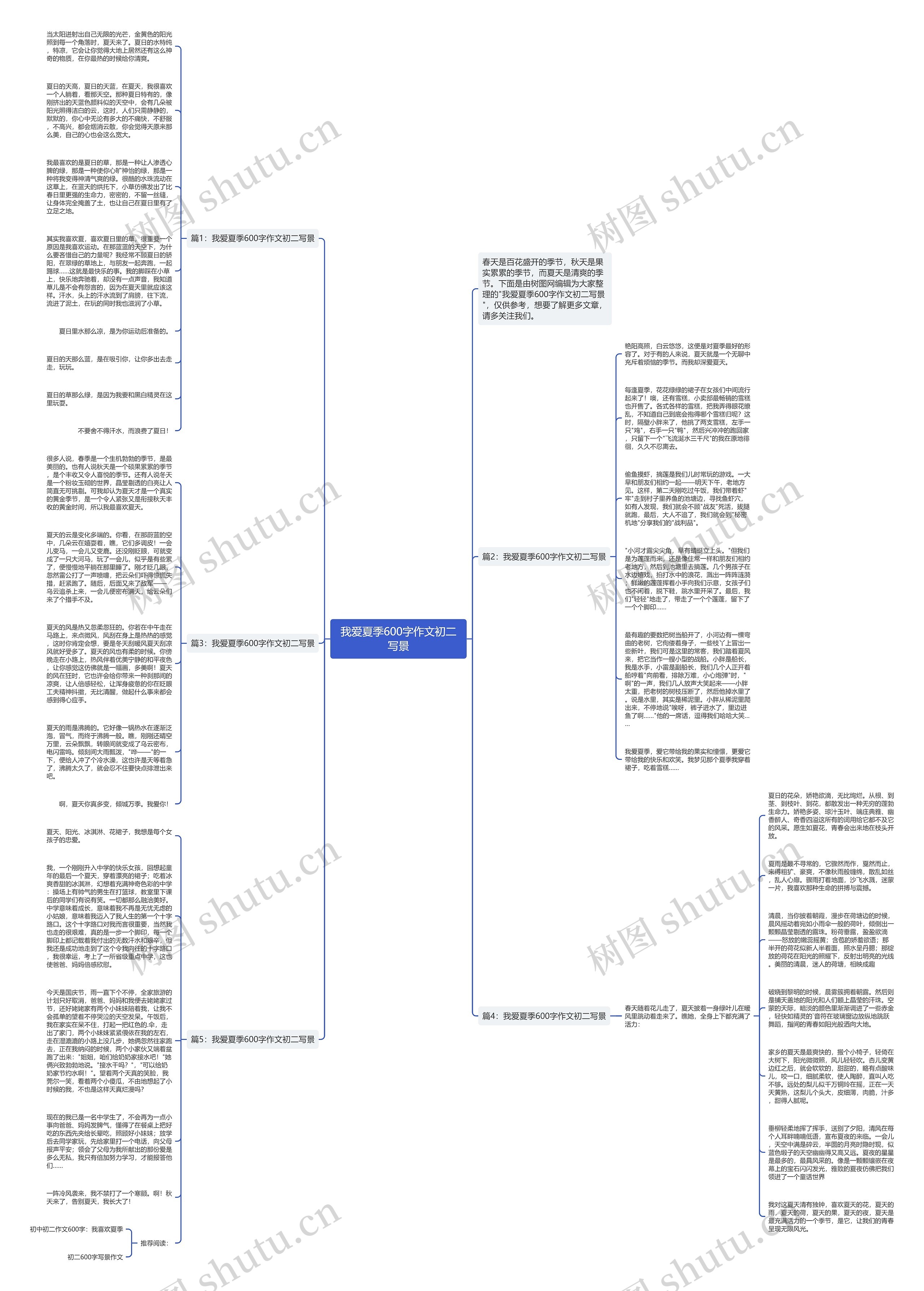 我爱夏季600字作文初二写景思维导图