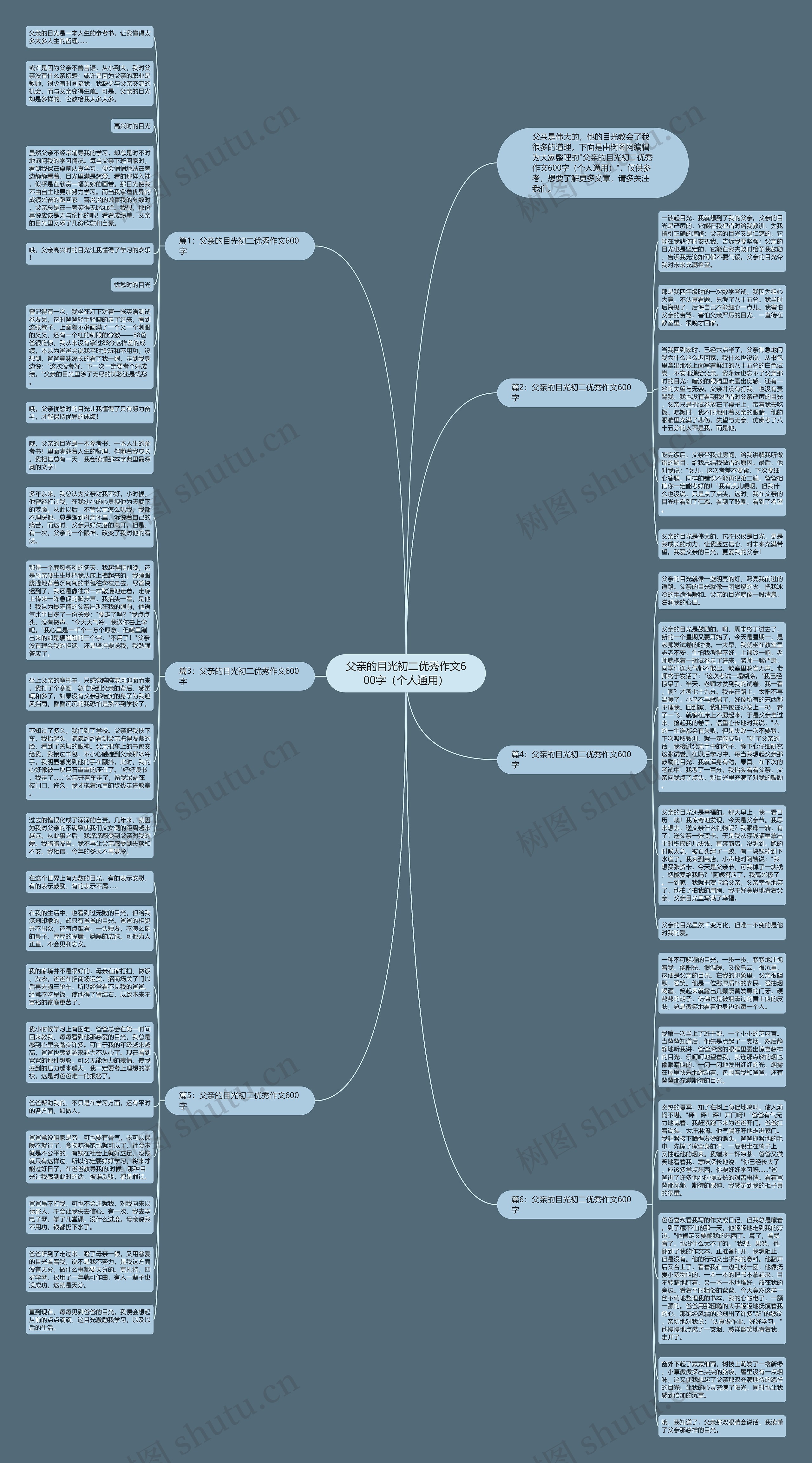父亲的目光初二优秀作文600字（个人通用）思维导图