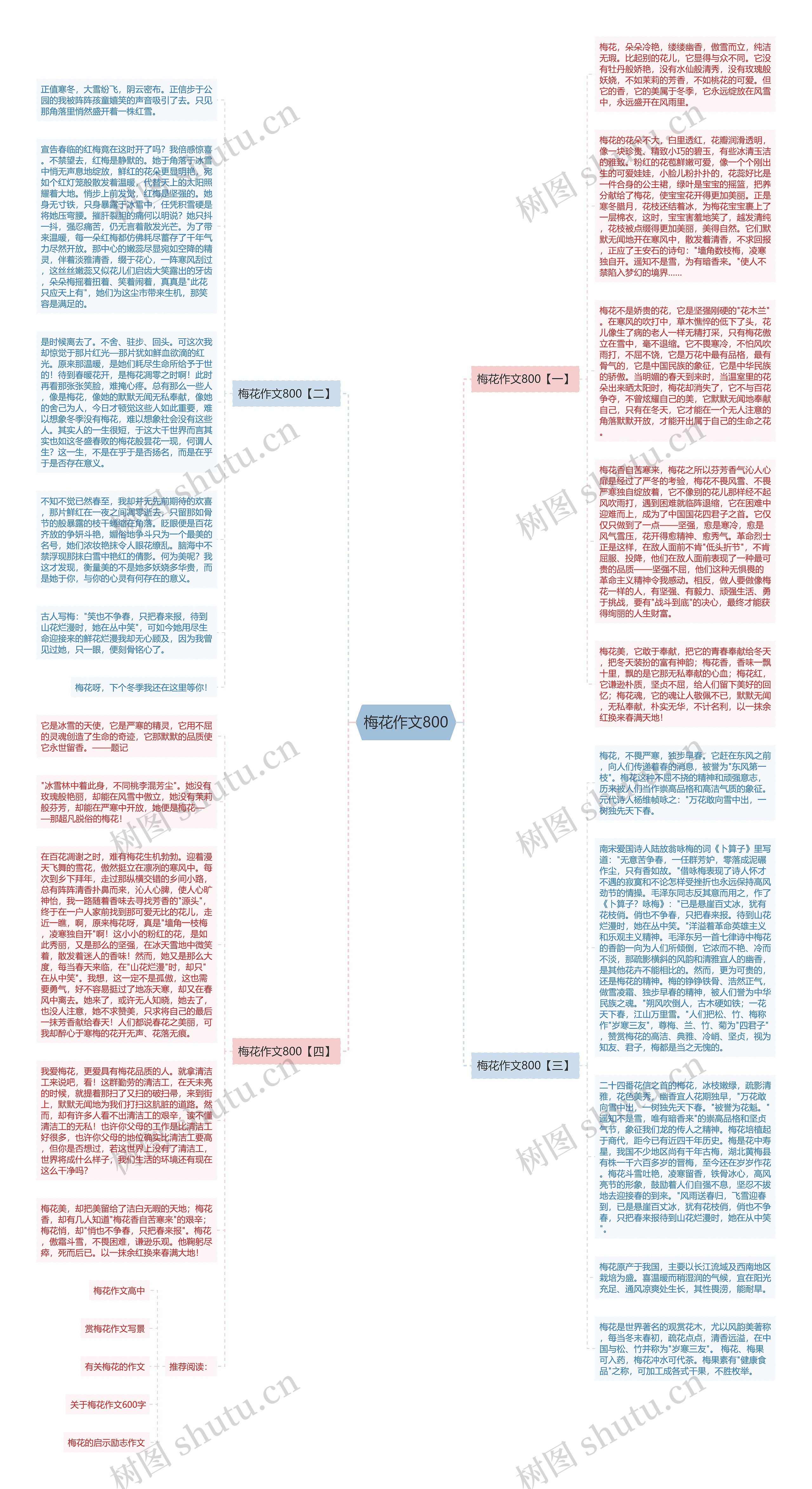 梅花作文800思维导图