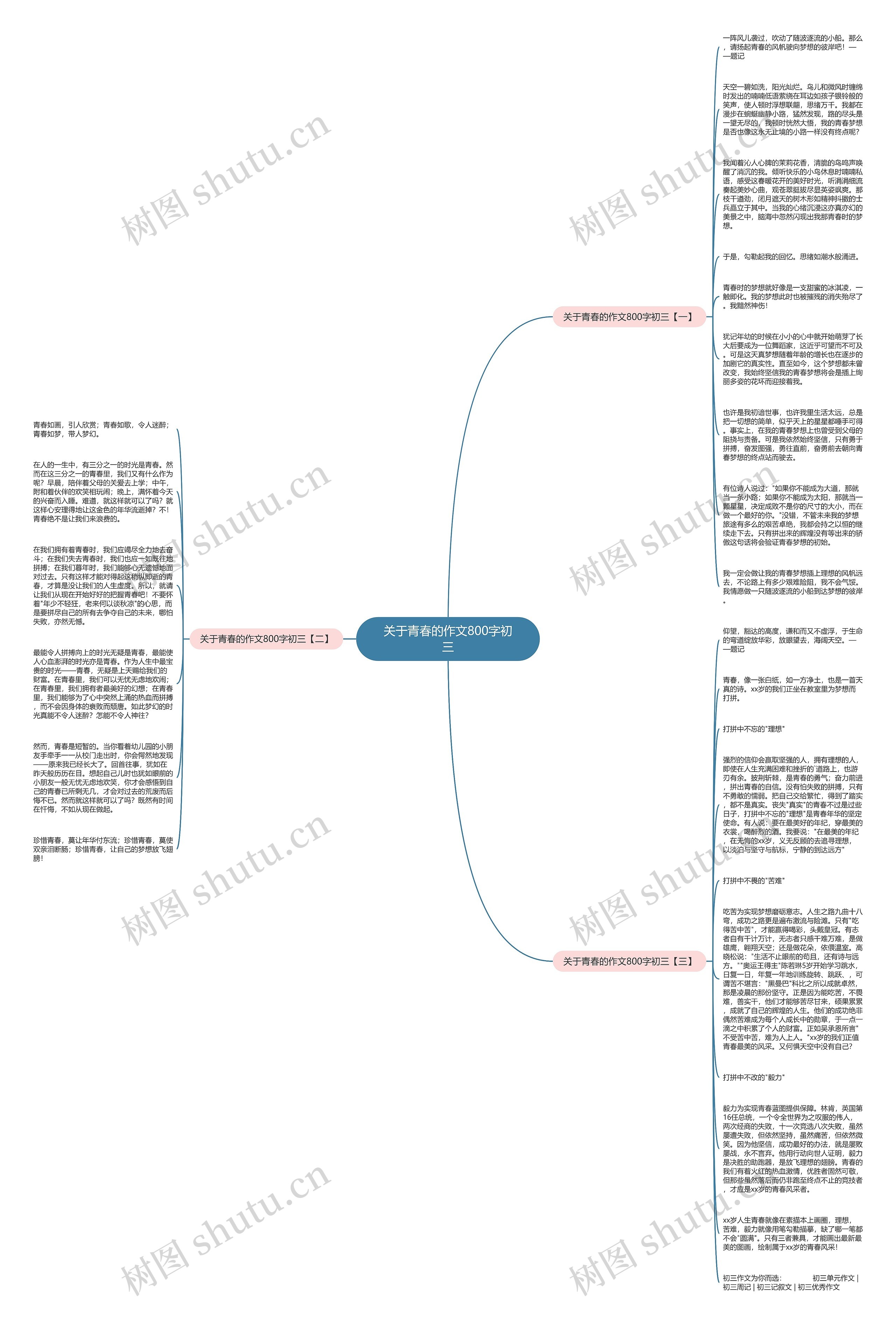 关于青春的作文800字初三思维导图