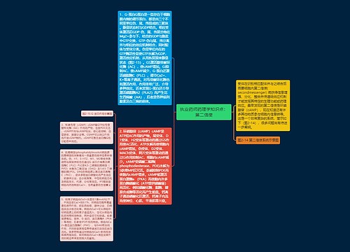 执业药师药理学知识点：第二信使