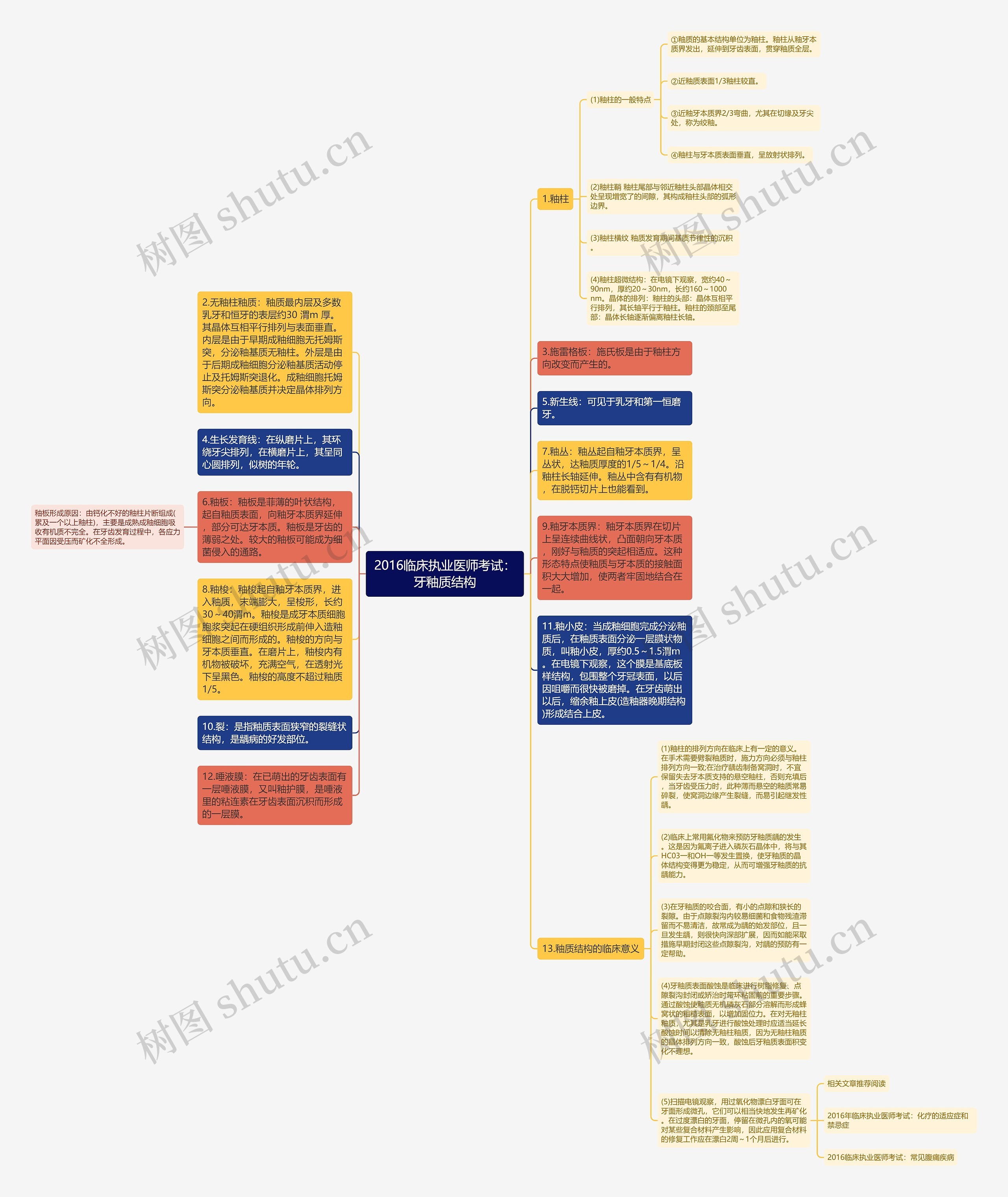2016临床执业医师考试：牙釉质结构思维导图