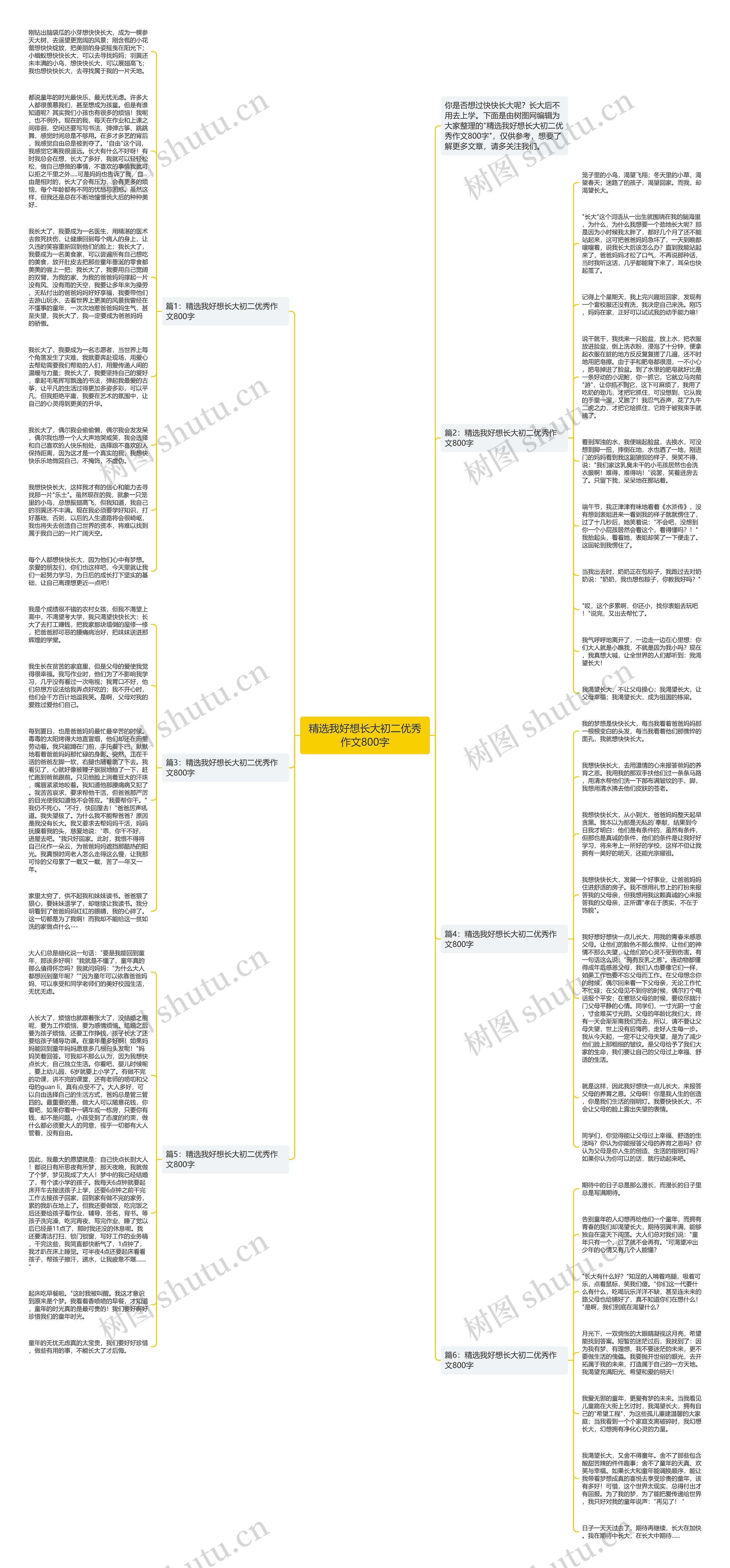精选我好想长大初二优秀作文800字思维导图