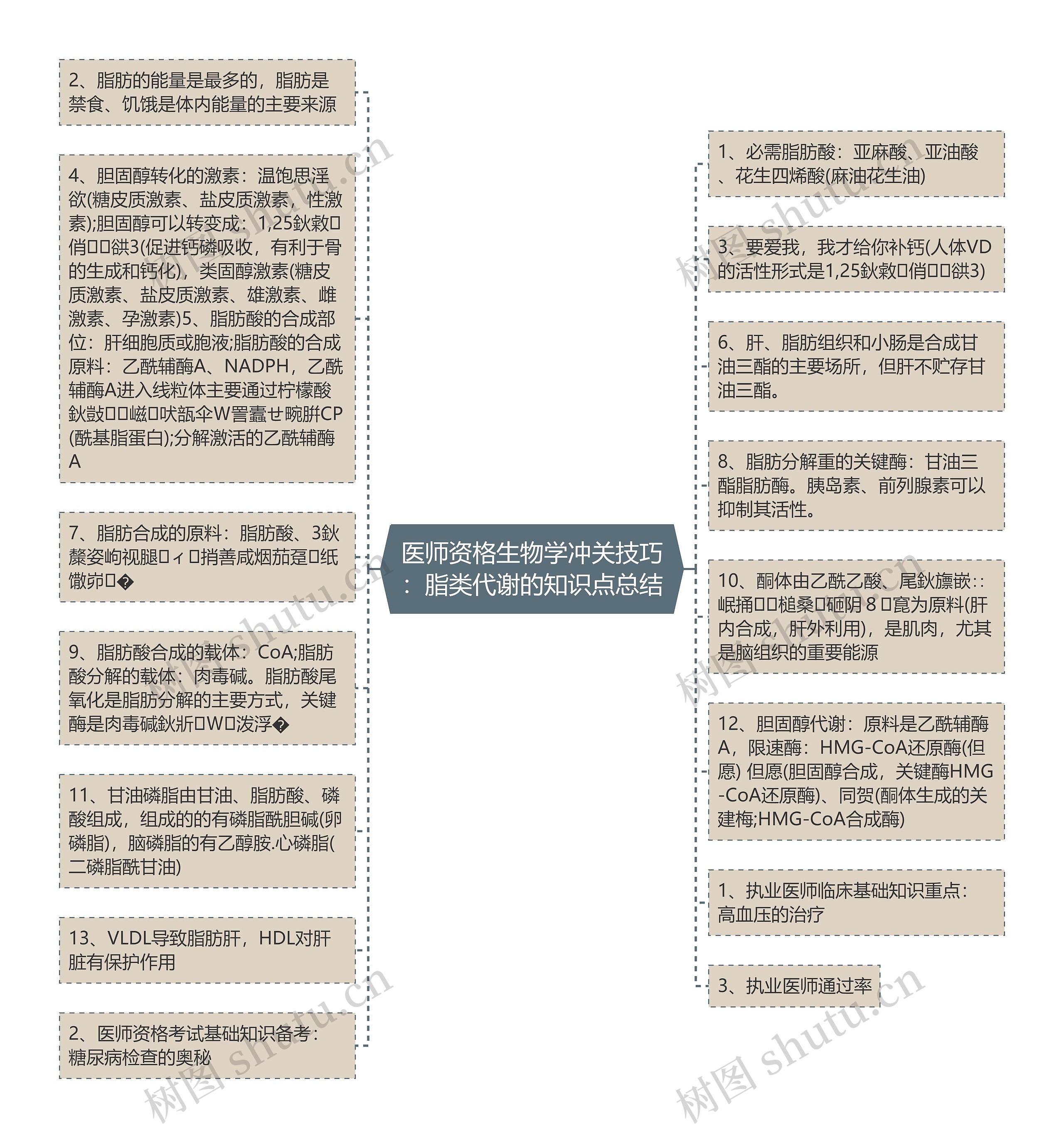 医师资格生物学冲关技巧：脂类代谢的知识点总结