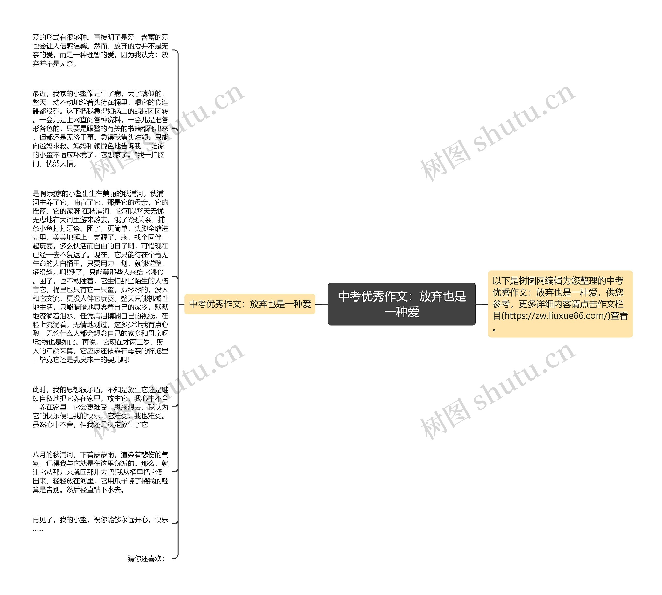 中考优秀作文：放弃也是一种爱思维导图