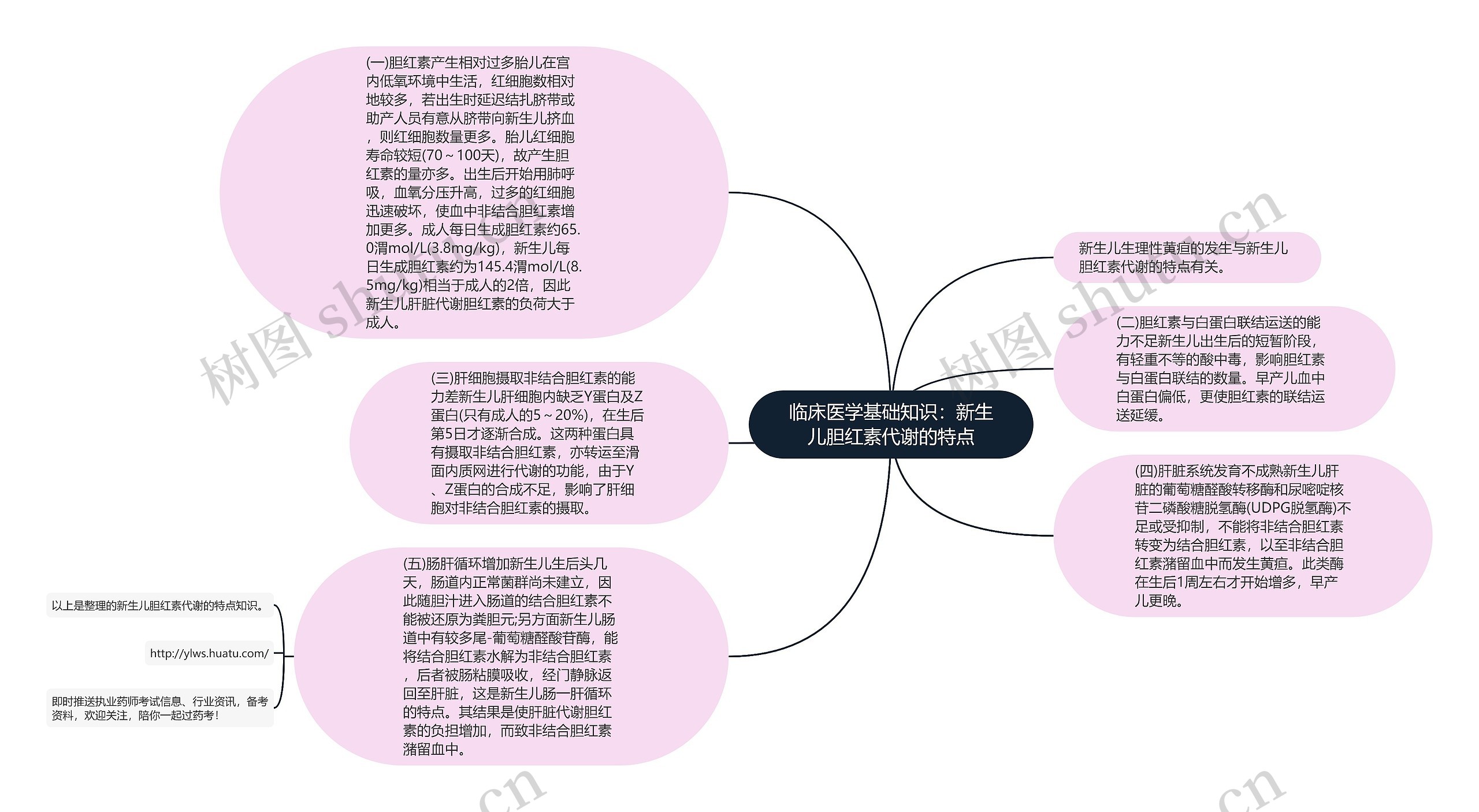 临床医学基础知识：新生儿胆红素代谢的特点思维导图