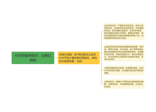 中药师辅导精华：幼稚红细胞