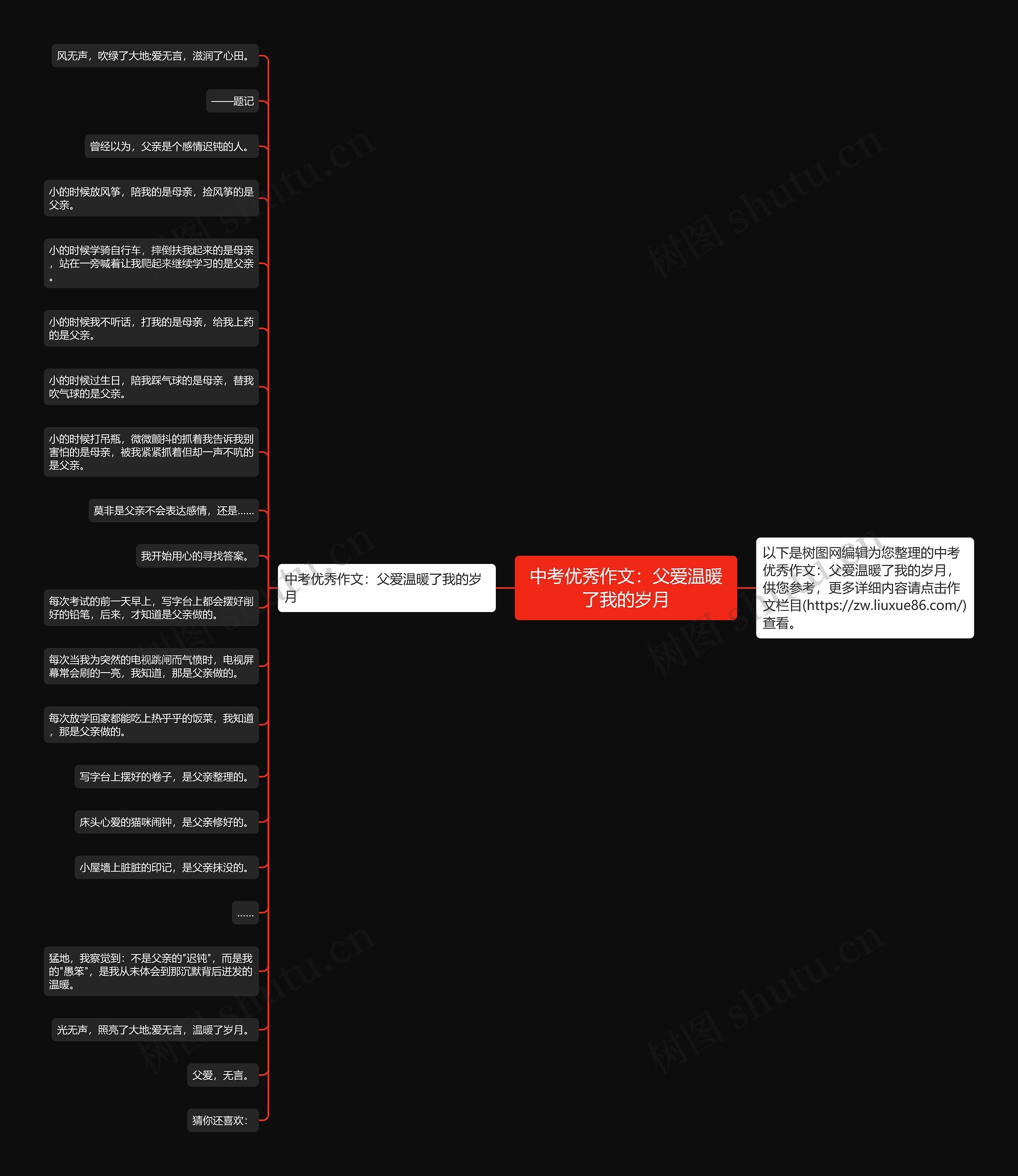 中考优秀作文：父爱温暖了我的岁月