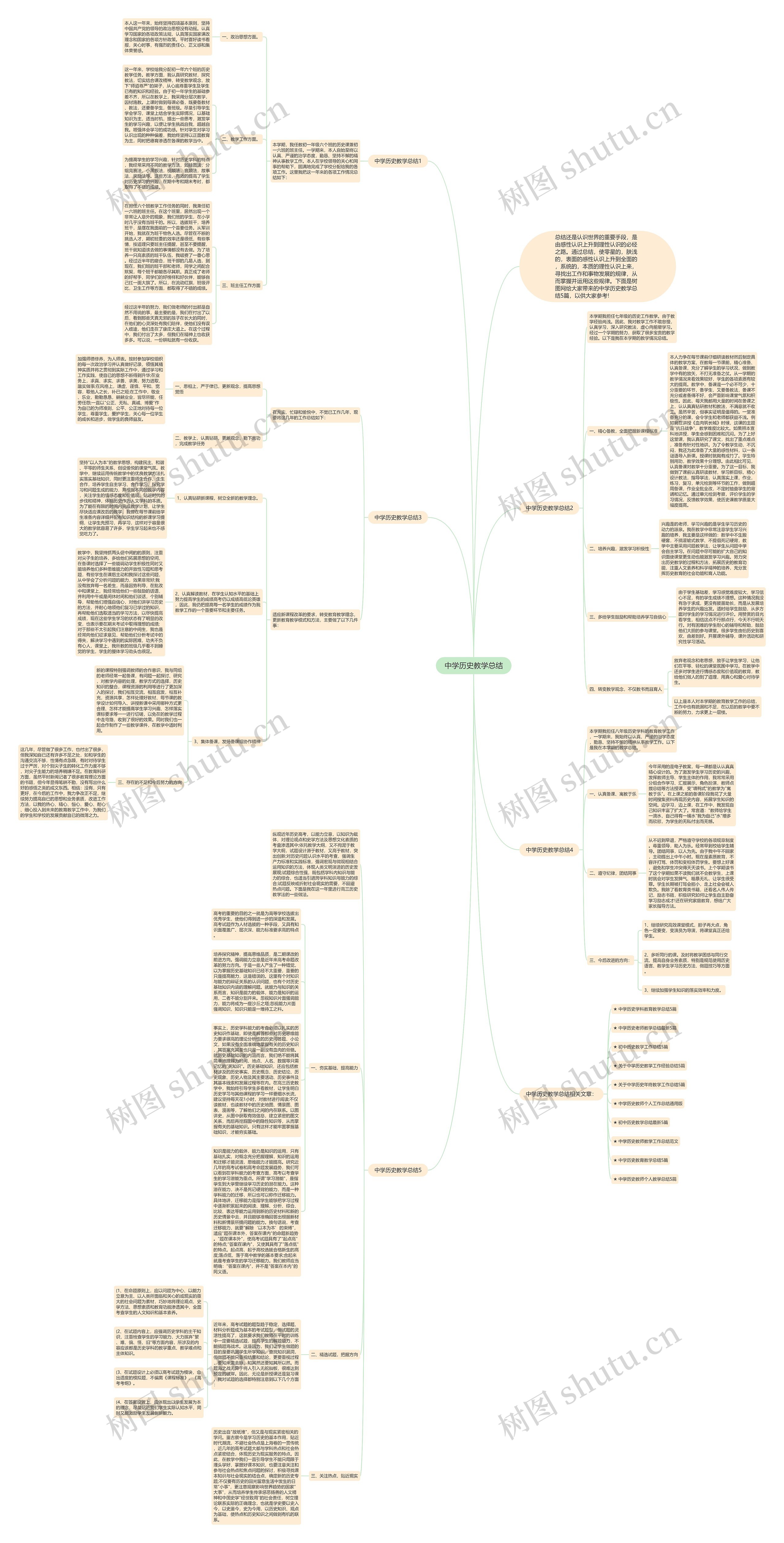 中学历史教学总结思维导图