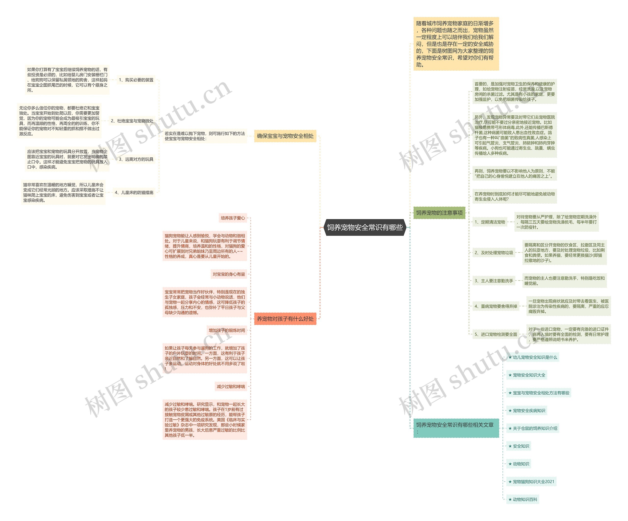 饲养宠物安全常识有哪些思维导图