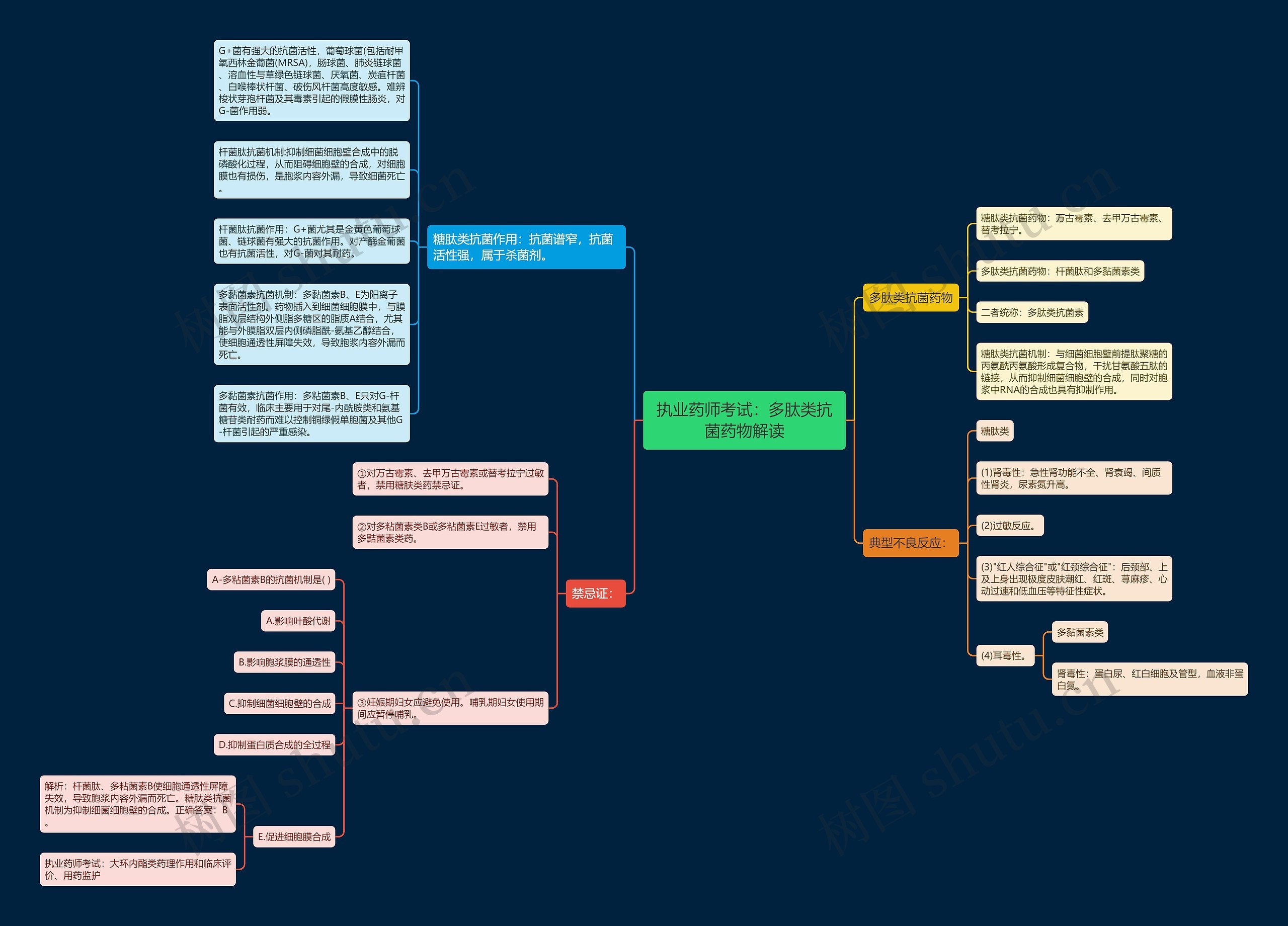 执业药师考试：多肽类抗菌药物解读思维导图