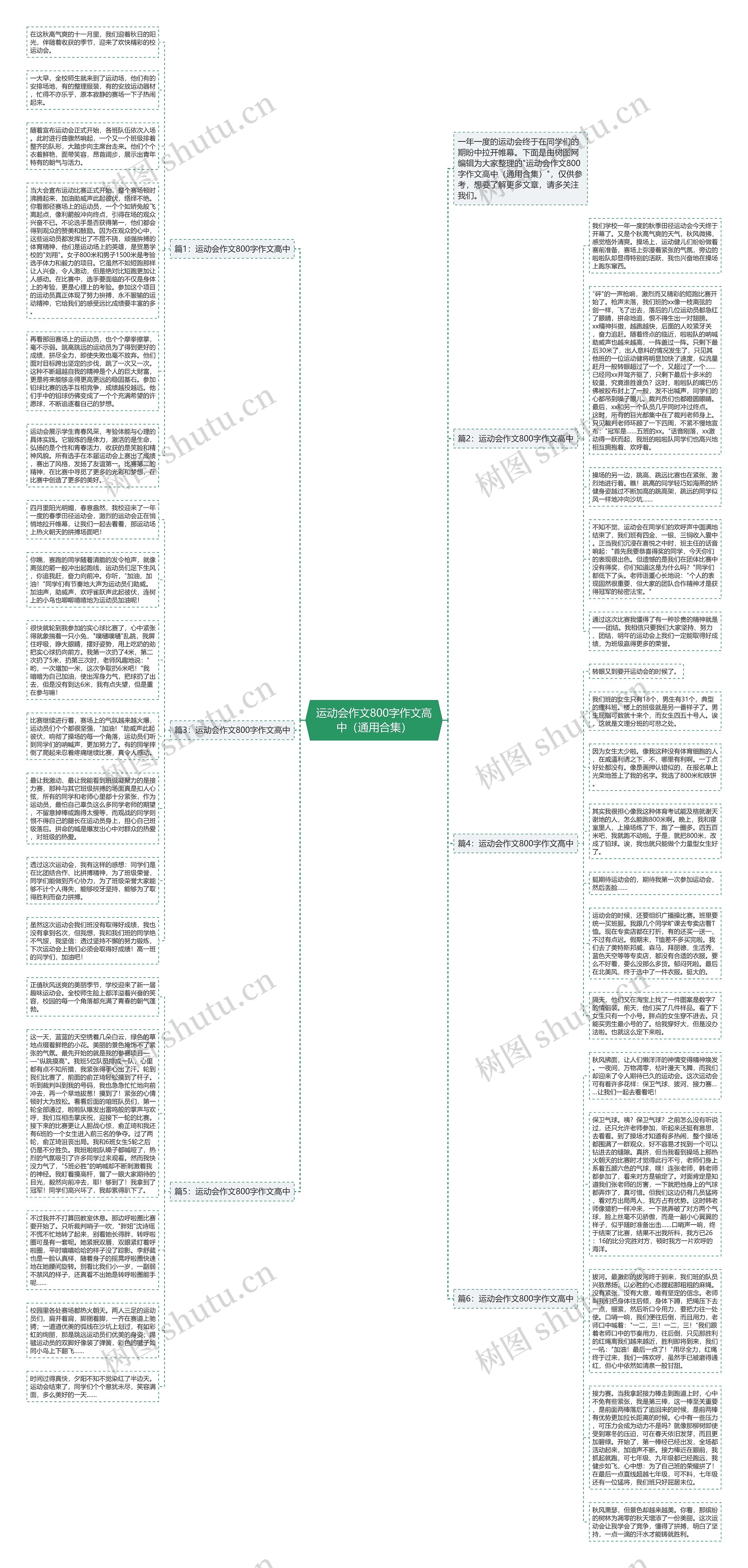运动会作文800字作文高中（通用合集）思维导图
