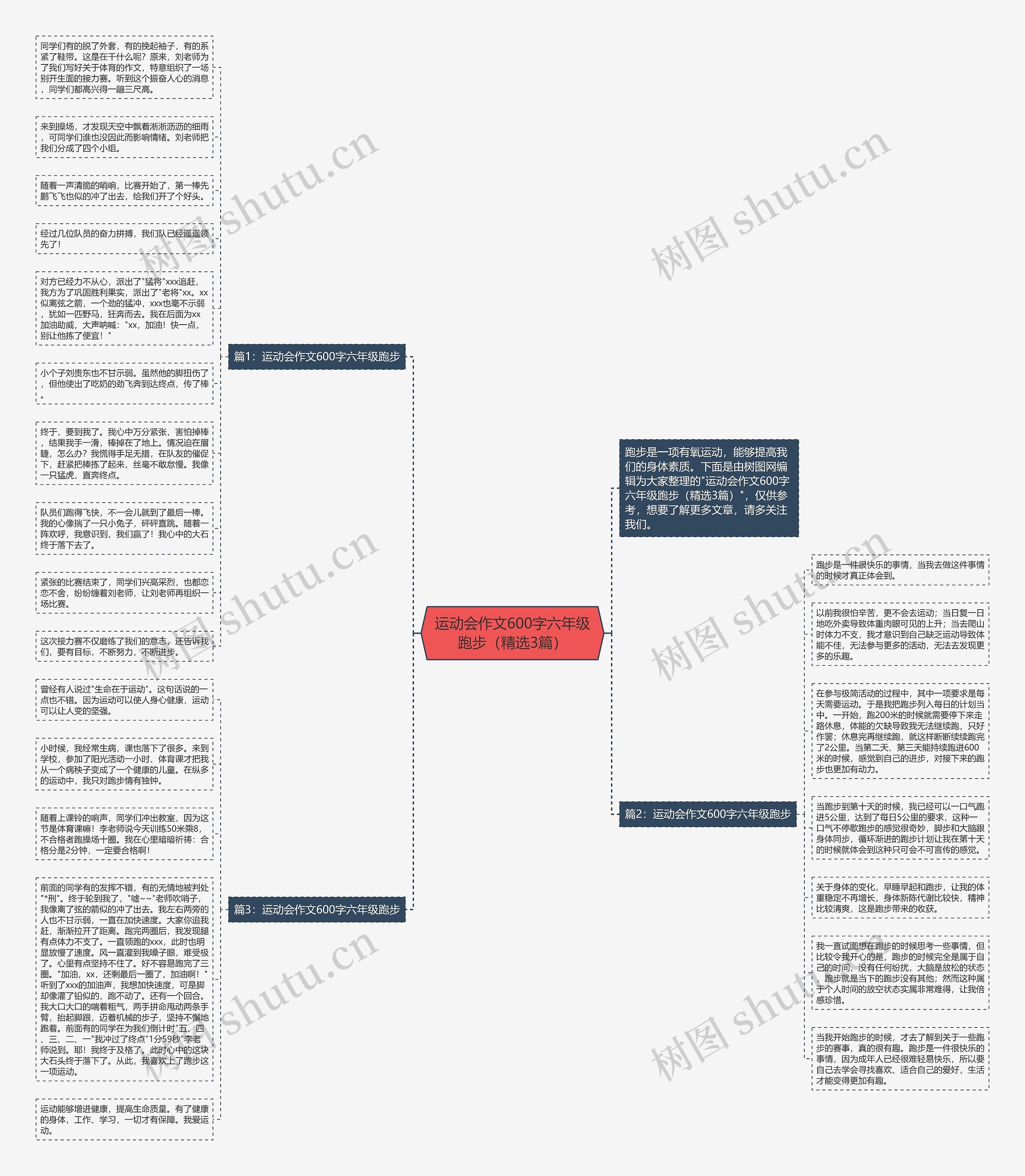 运动会作文600字六年级跑步（精选3篇）思维导图