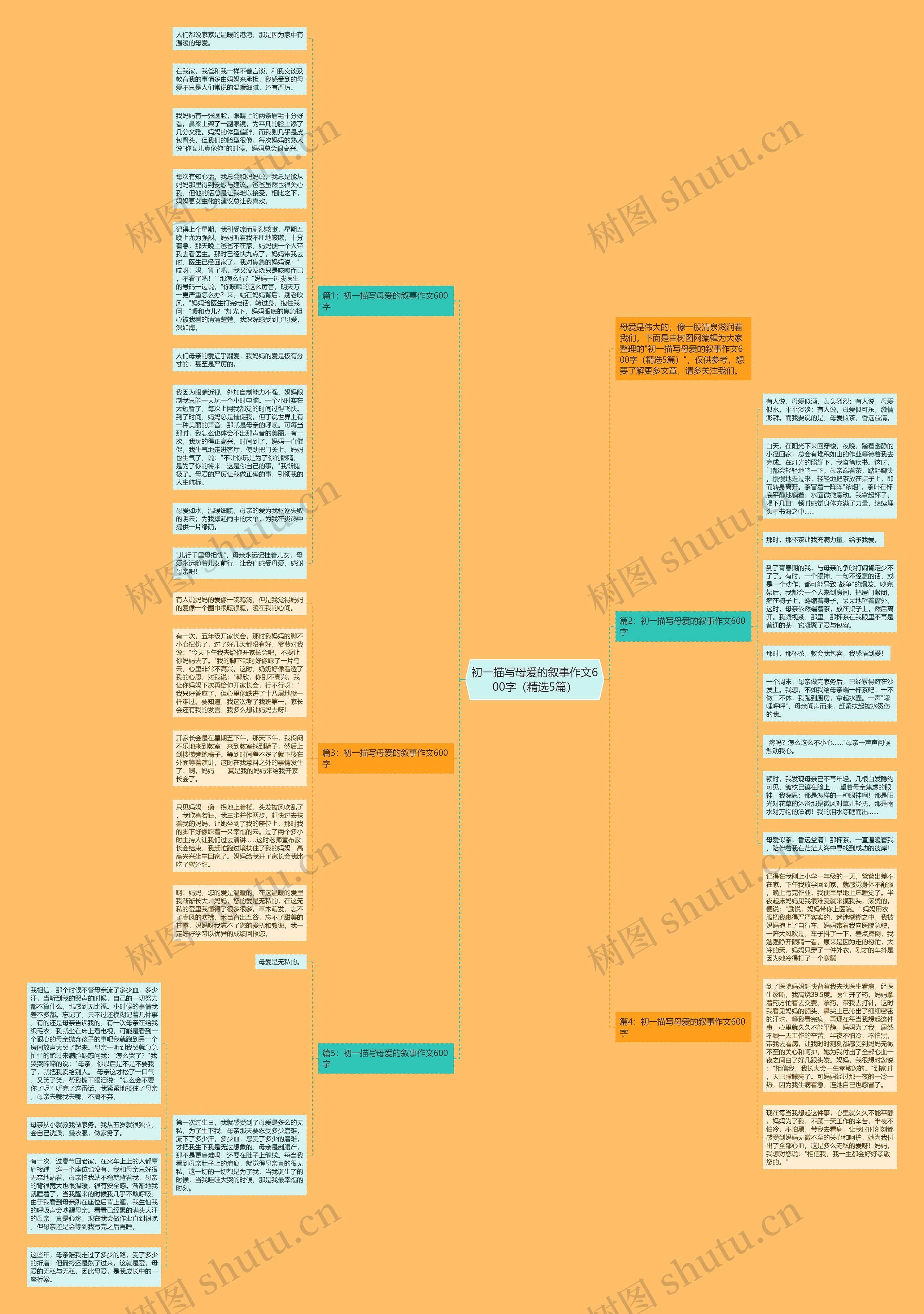 初一描写母爱的叙事作文600字（精选5篇）思维导图