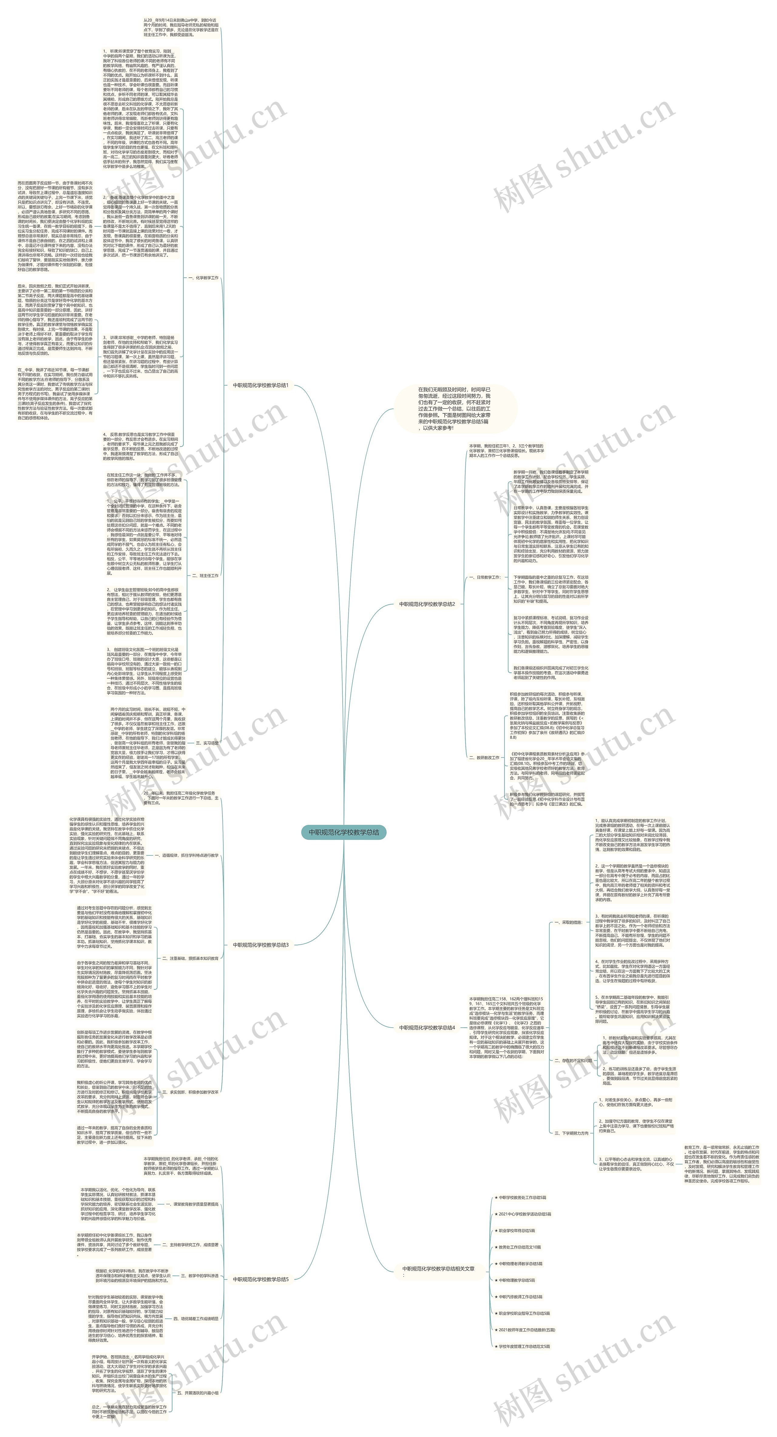 中职规范化学校教学总结思维导图