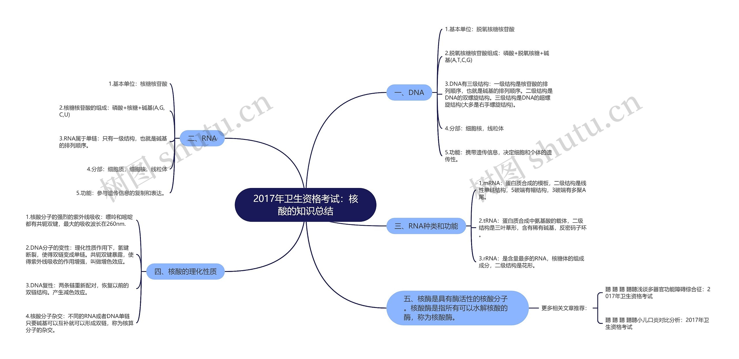 2017年卫生资格考试：核酸的知识总结思维导图