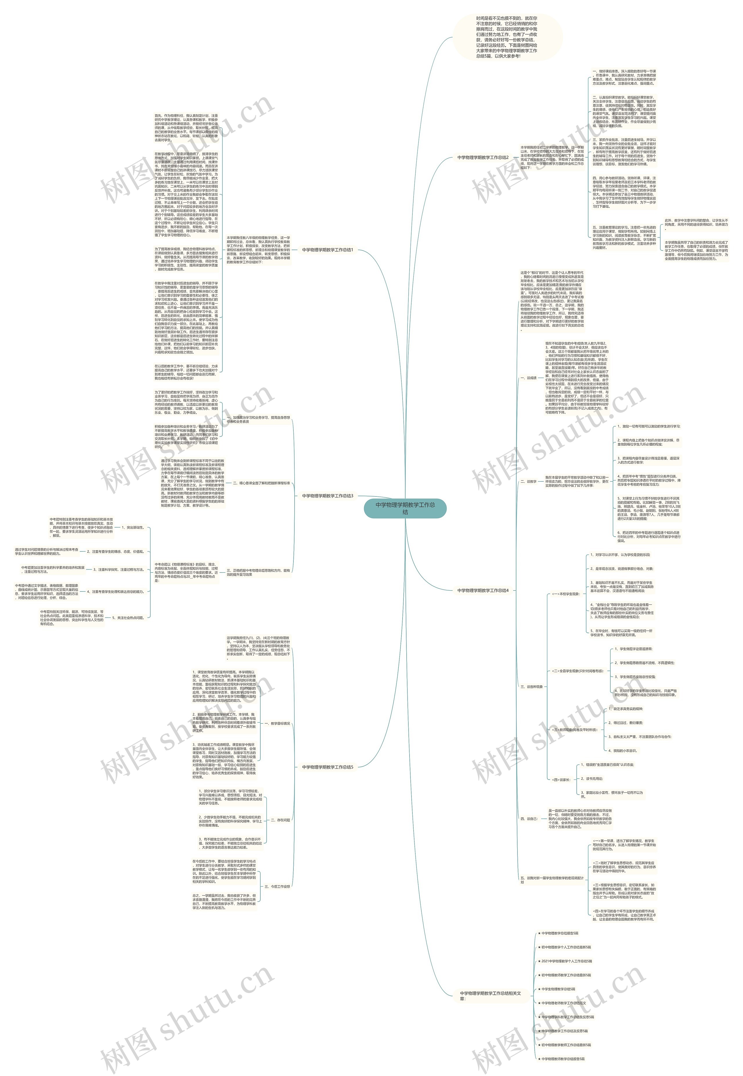 中学物理学期教学工作总结思维导图