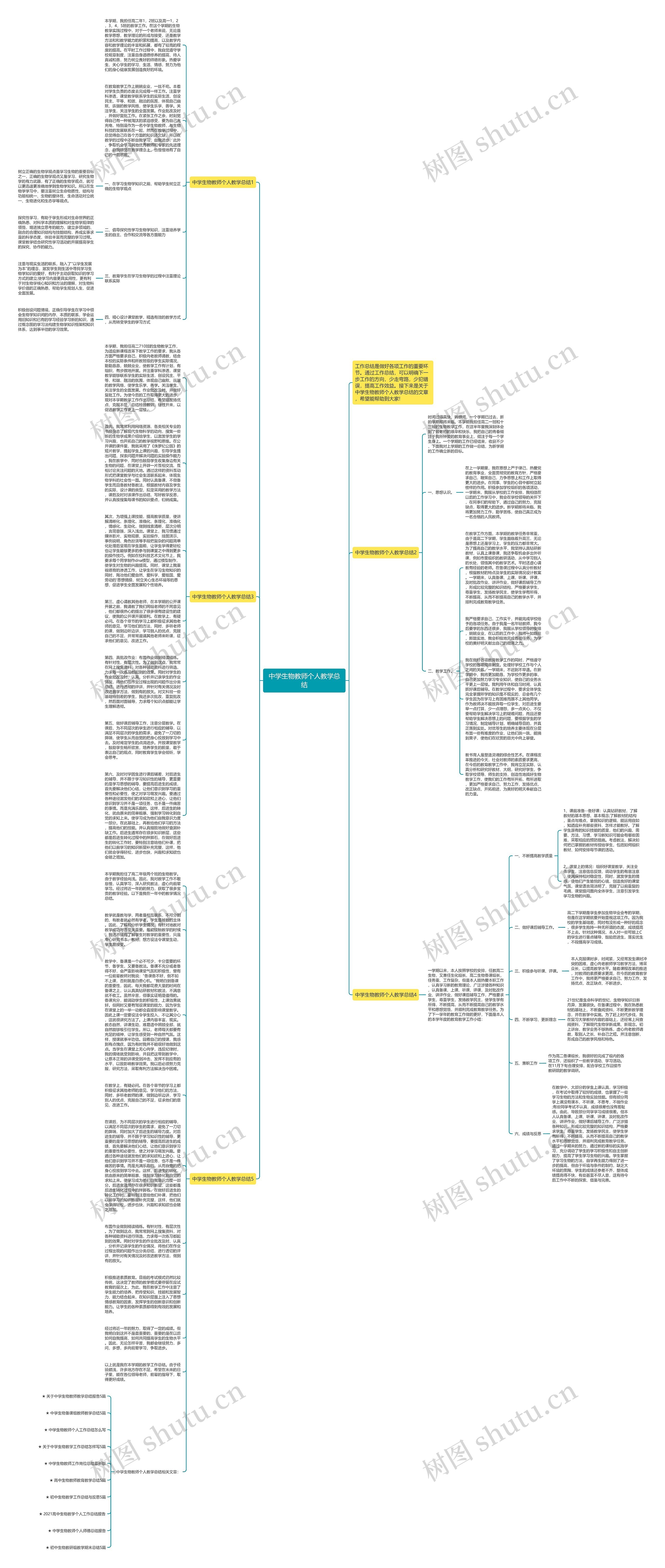 中学生物教师个人教学总结思维导图