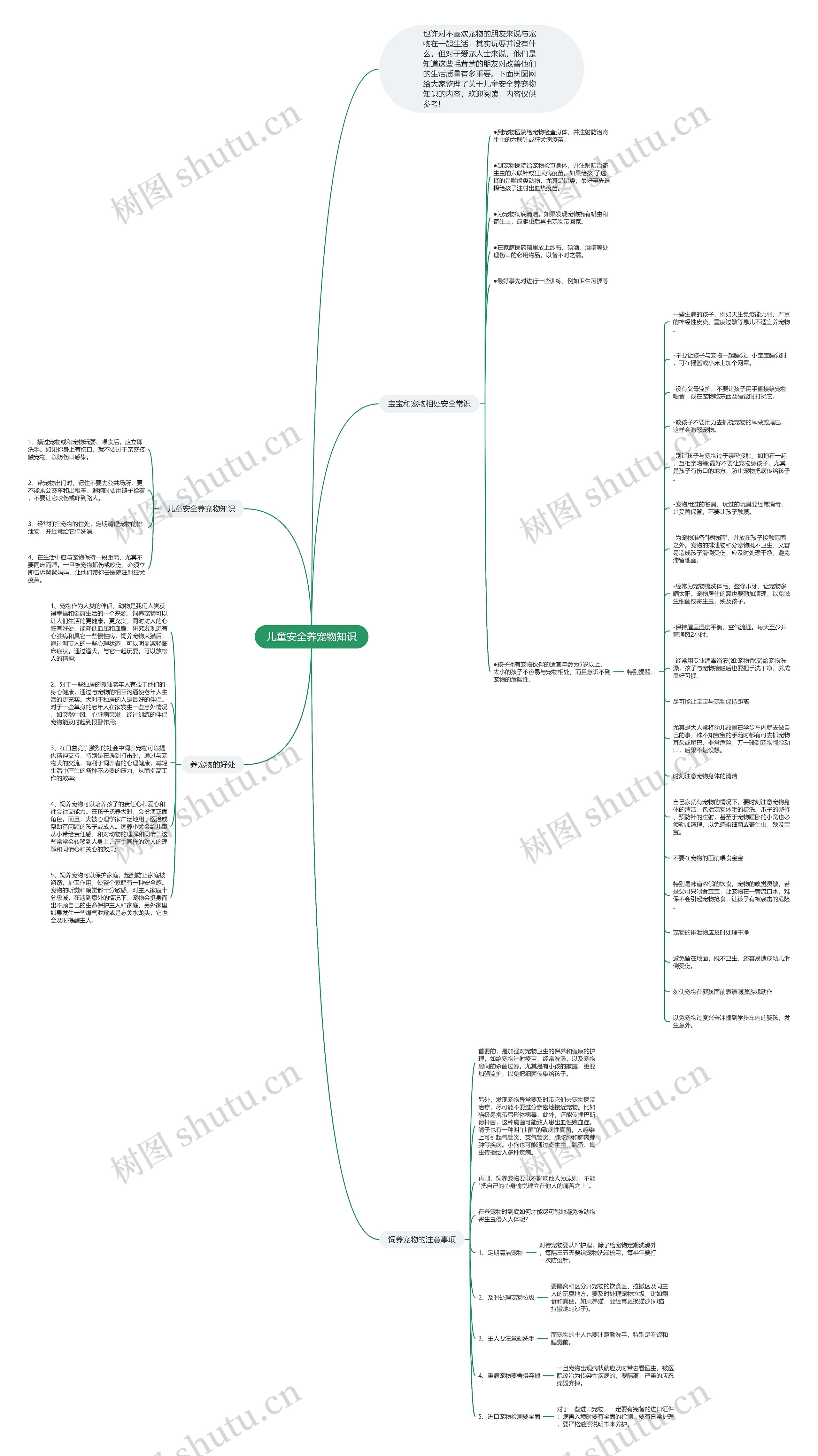 儿童安全养宠物知识思维导图