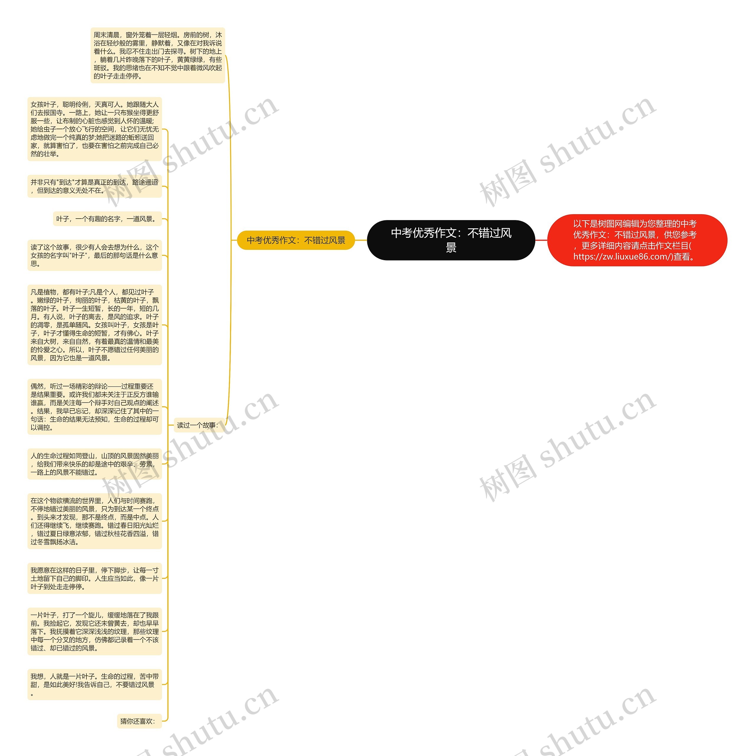 中考优秀作文：不错过风景思维导图