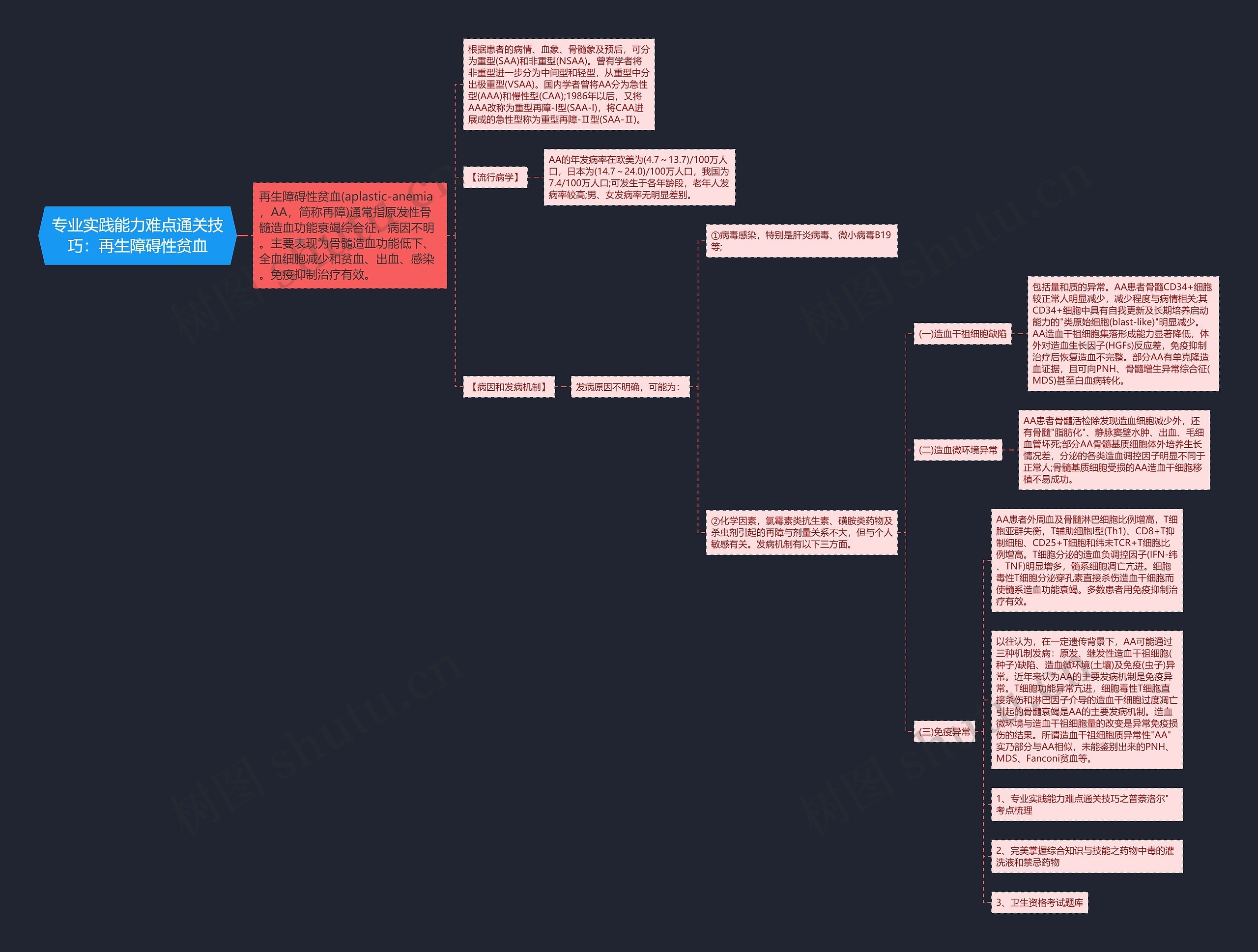 专业实践能力难点通关技巧：再生障碍性贫血思维导图